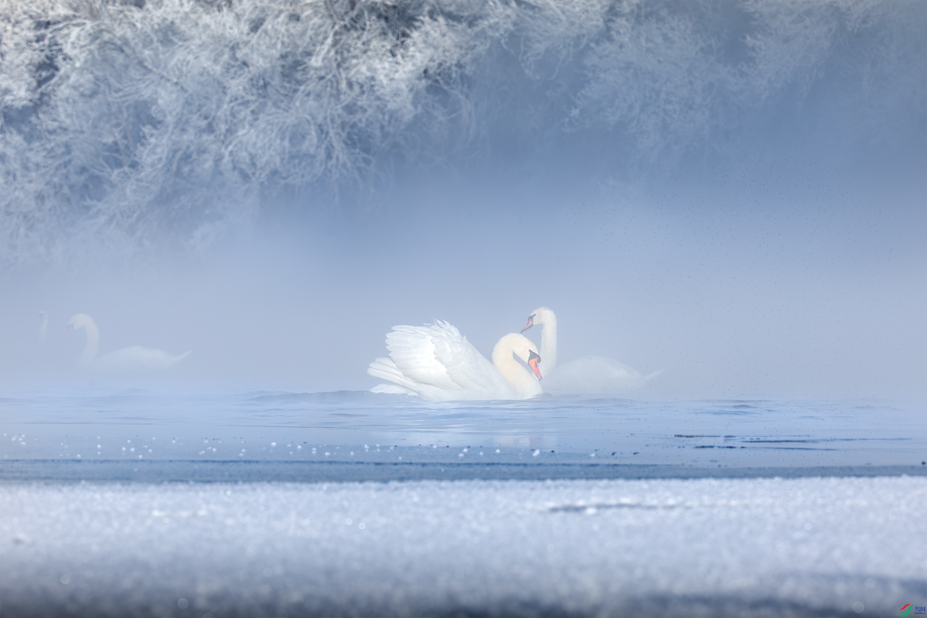 3S5A4393-2 ����.jpg