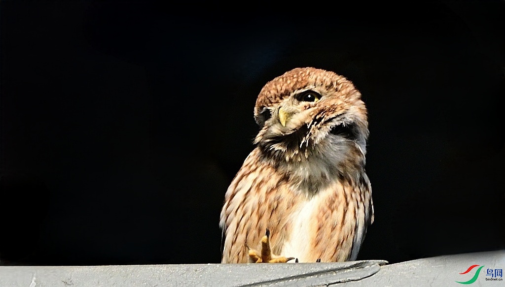 DSC_8642.JPG