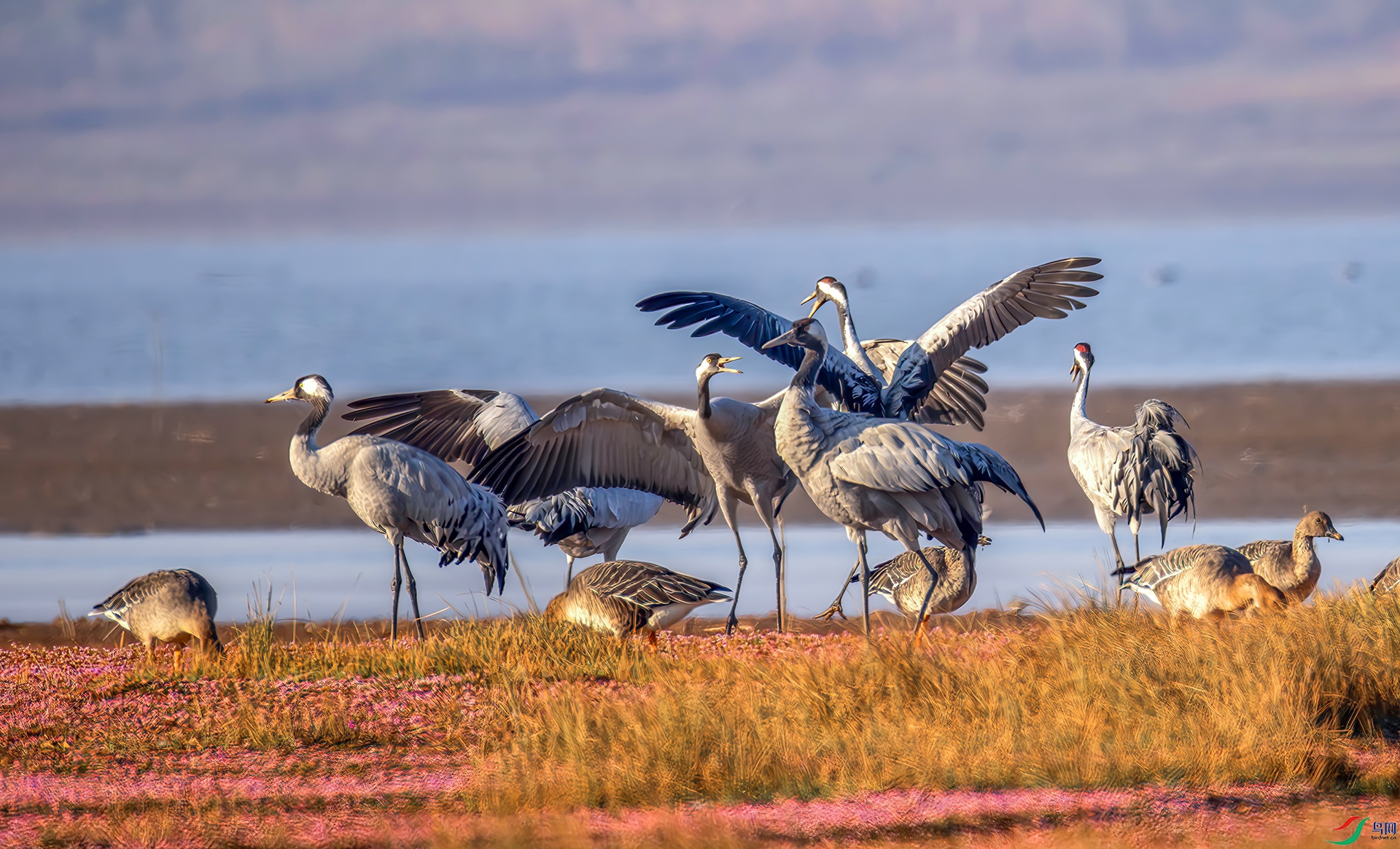 407A9311-----22  .jpg