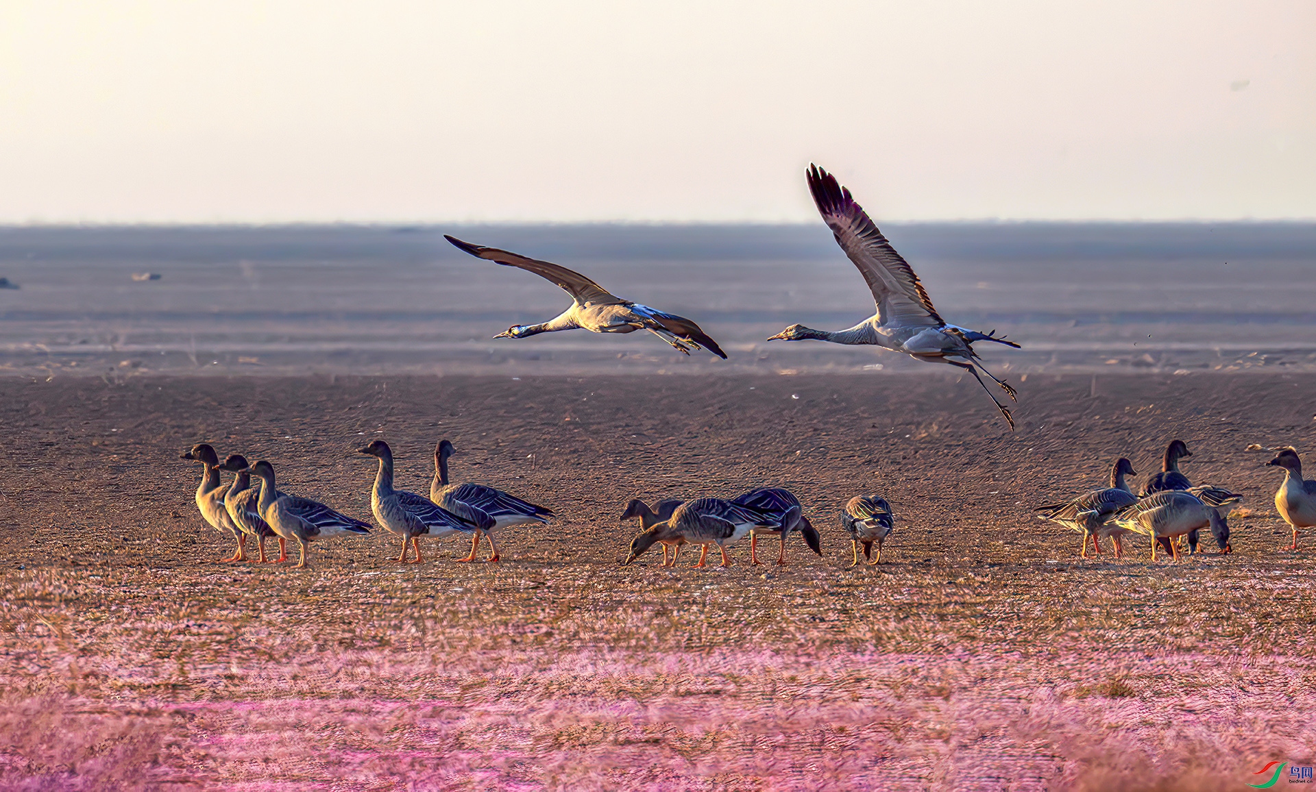 407A5635-----33  .jpg