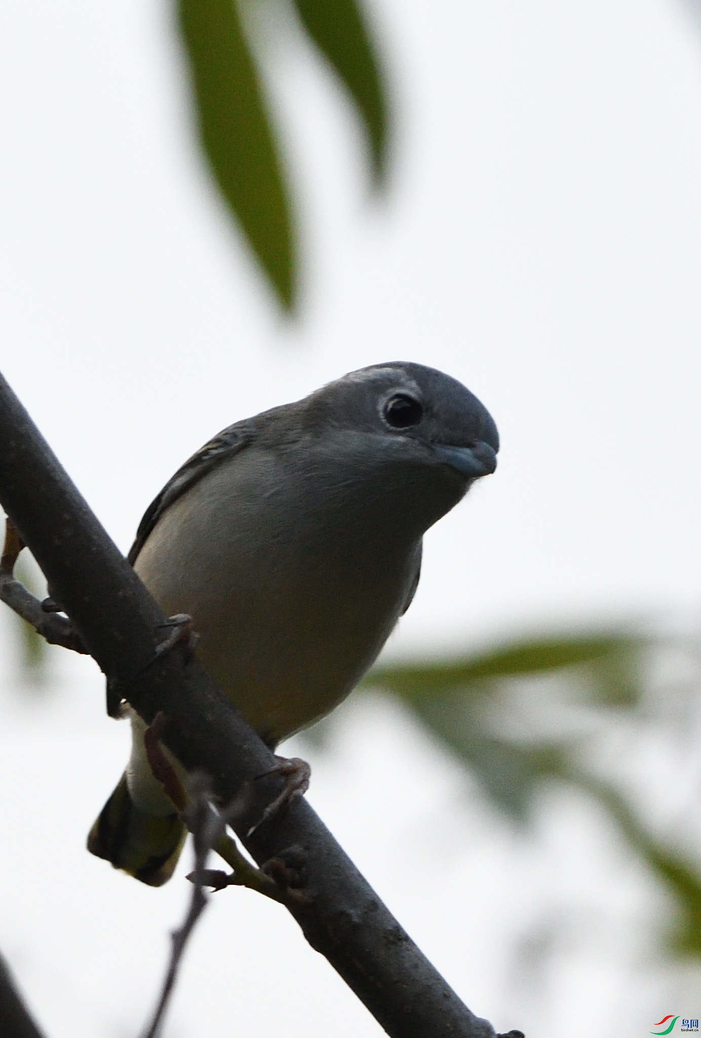 DSC_5102.JPG