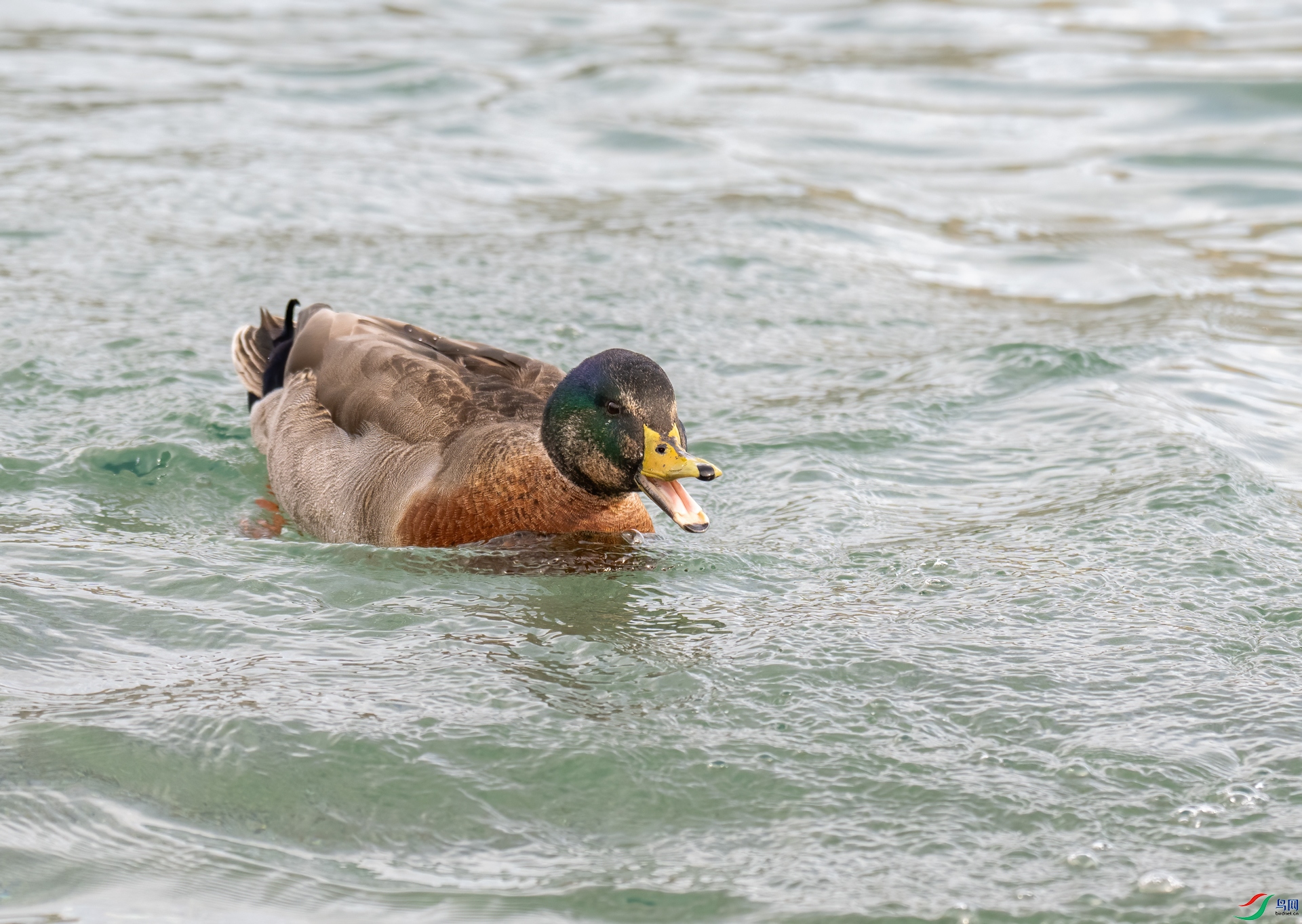 DSC_0760-1.jpg