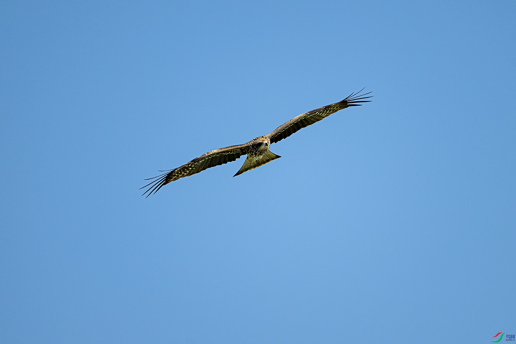 DSC_5812.jpg