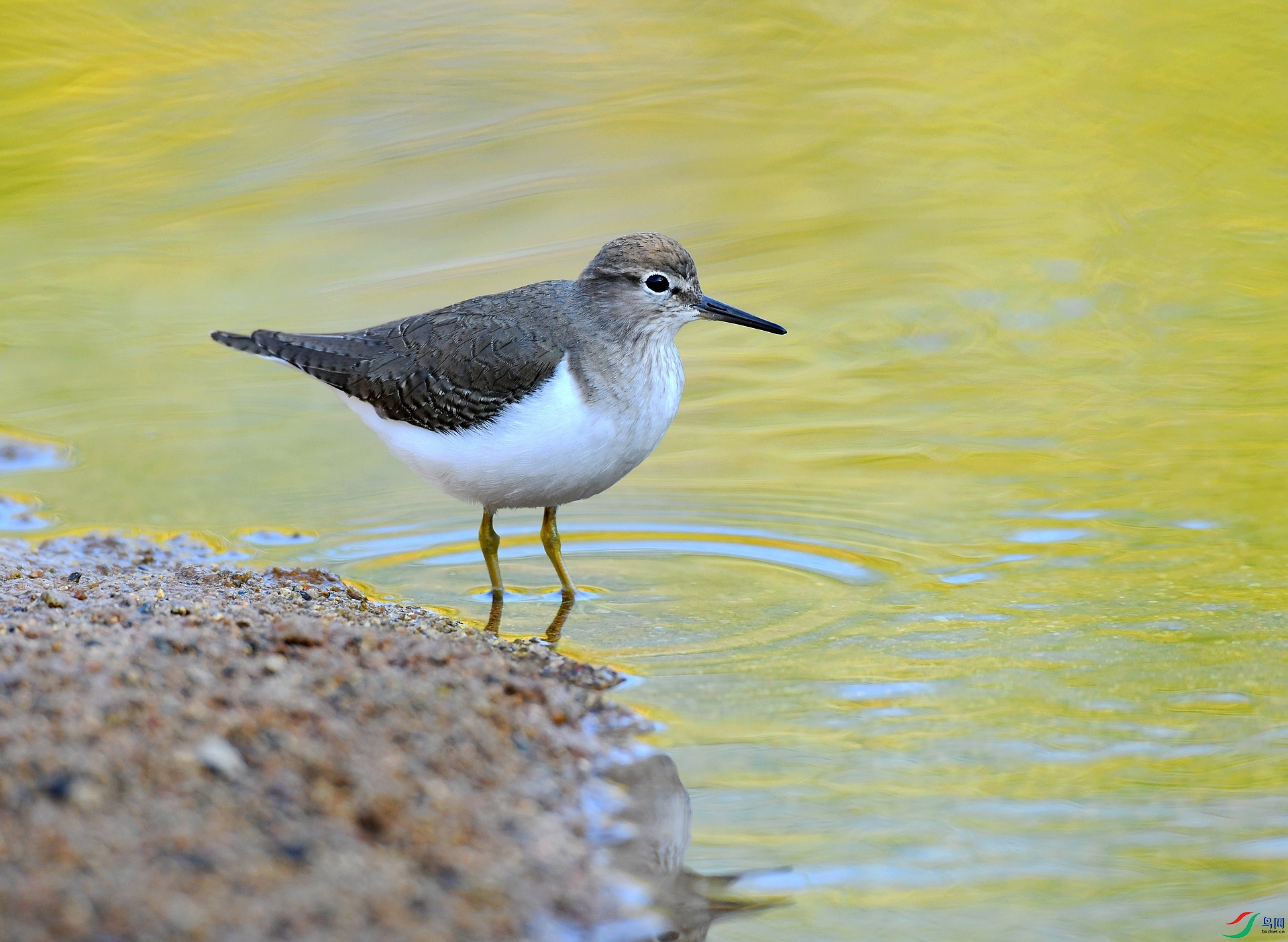 DSC_5405.jpg