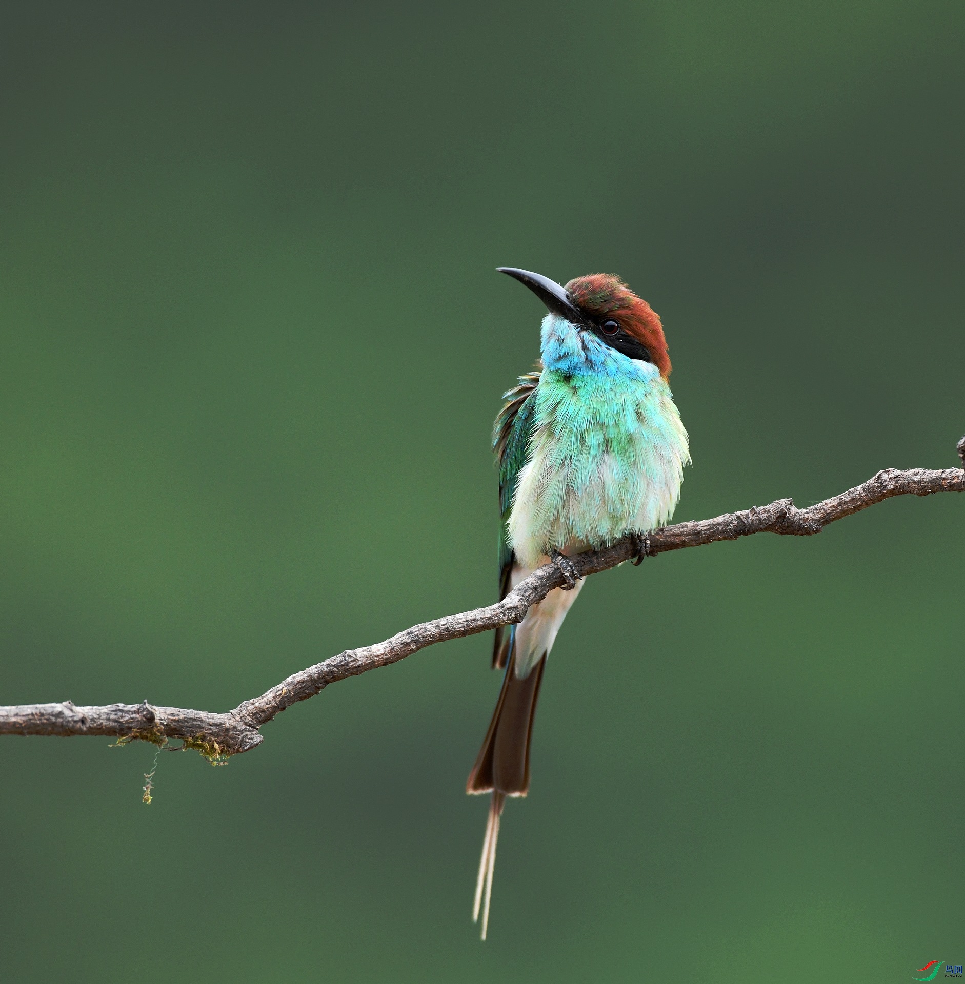 DSC_0931.jpg