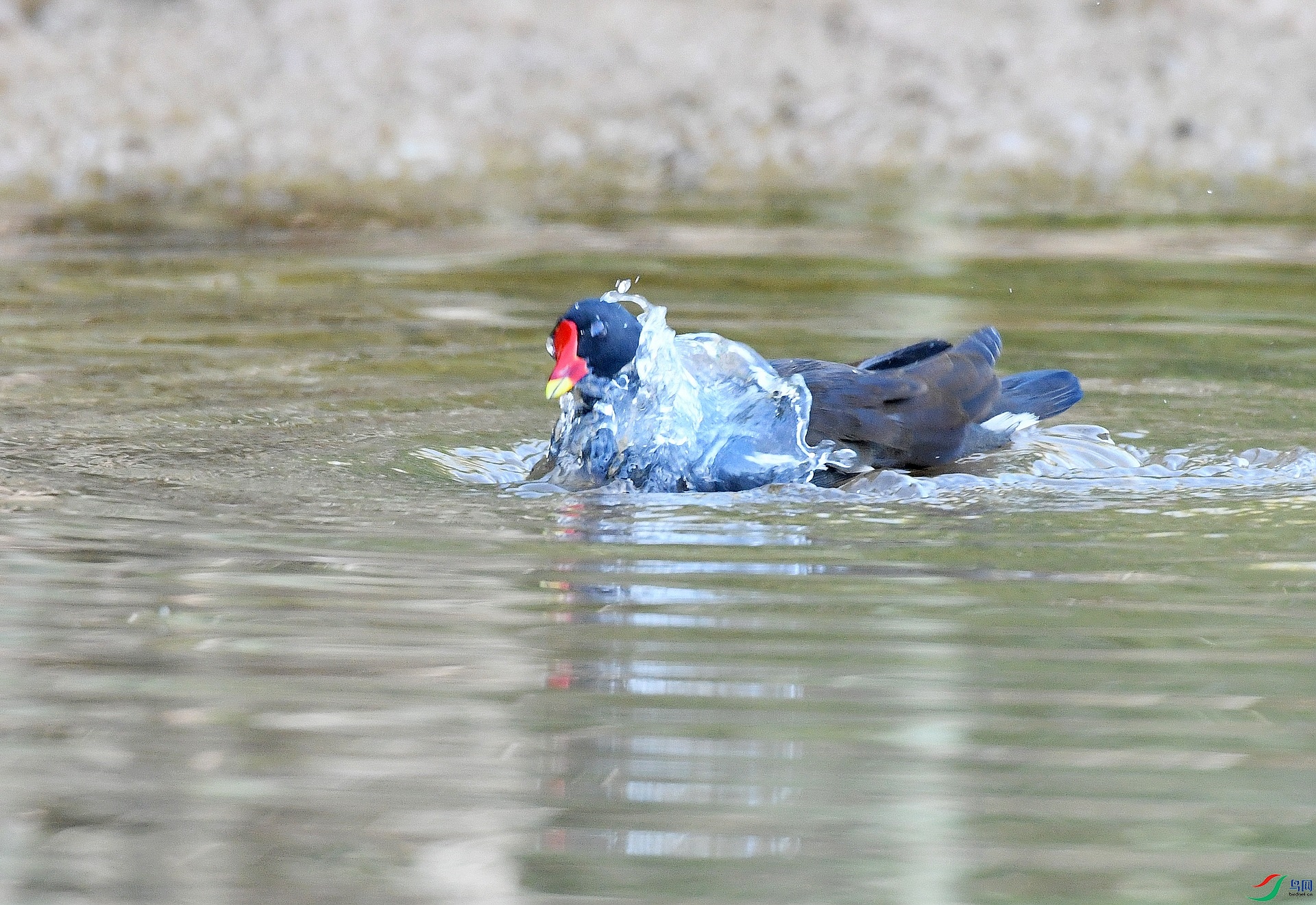 DSC_4875.jpg