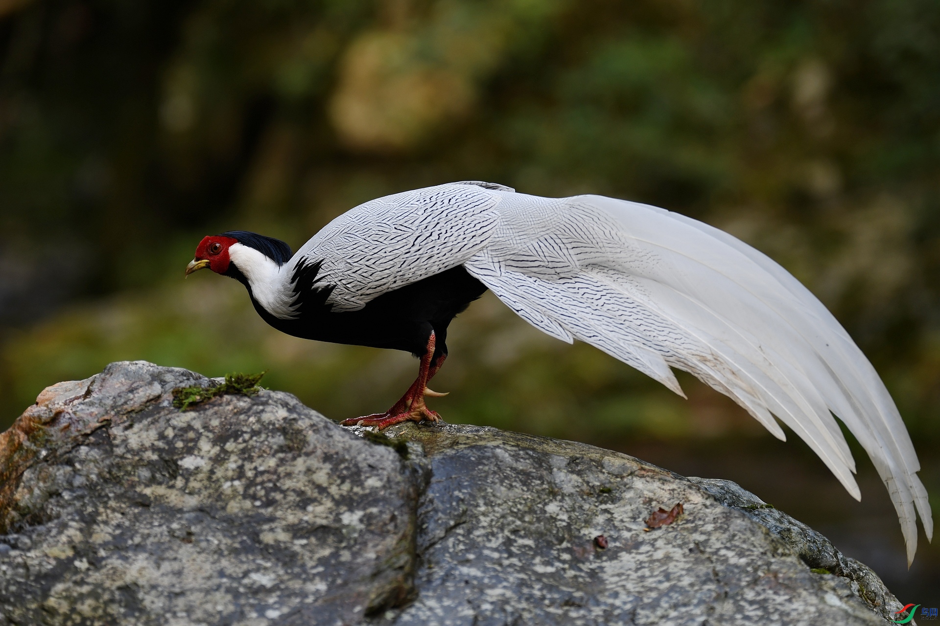 DSC_6980.jpg