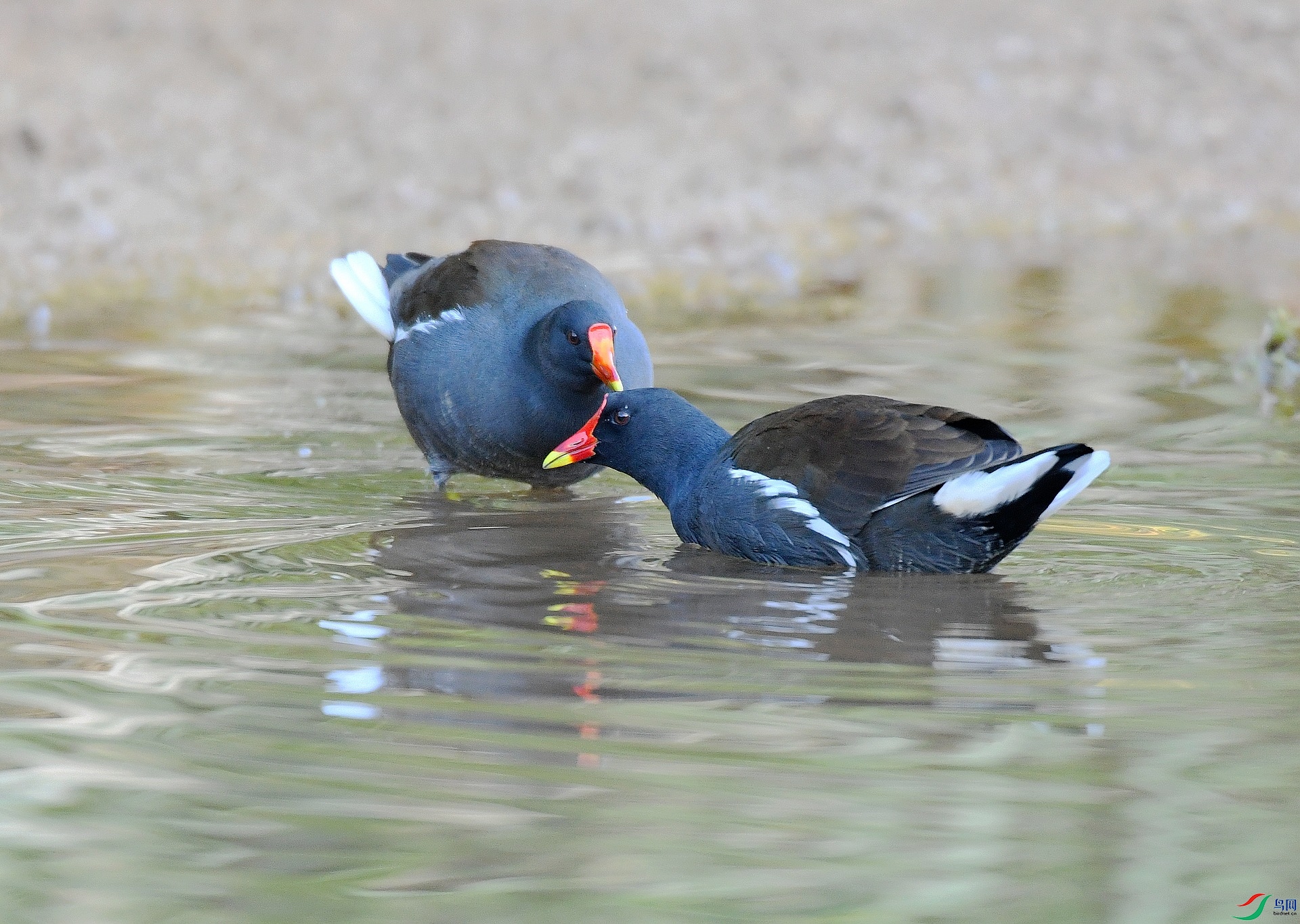 DSC_4842.jpg