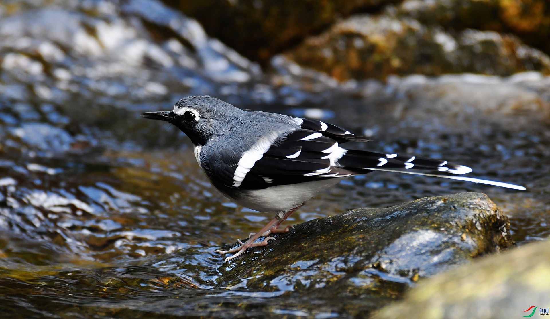 DSC_7255.jpg