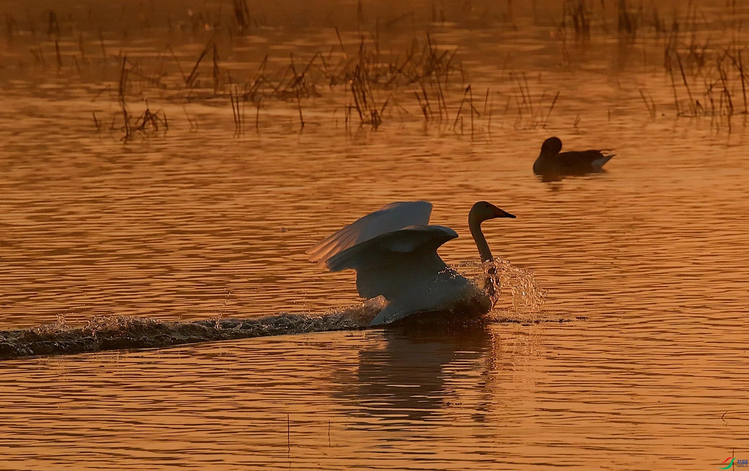  R5M2��Ƶ��ͼ