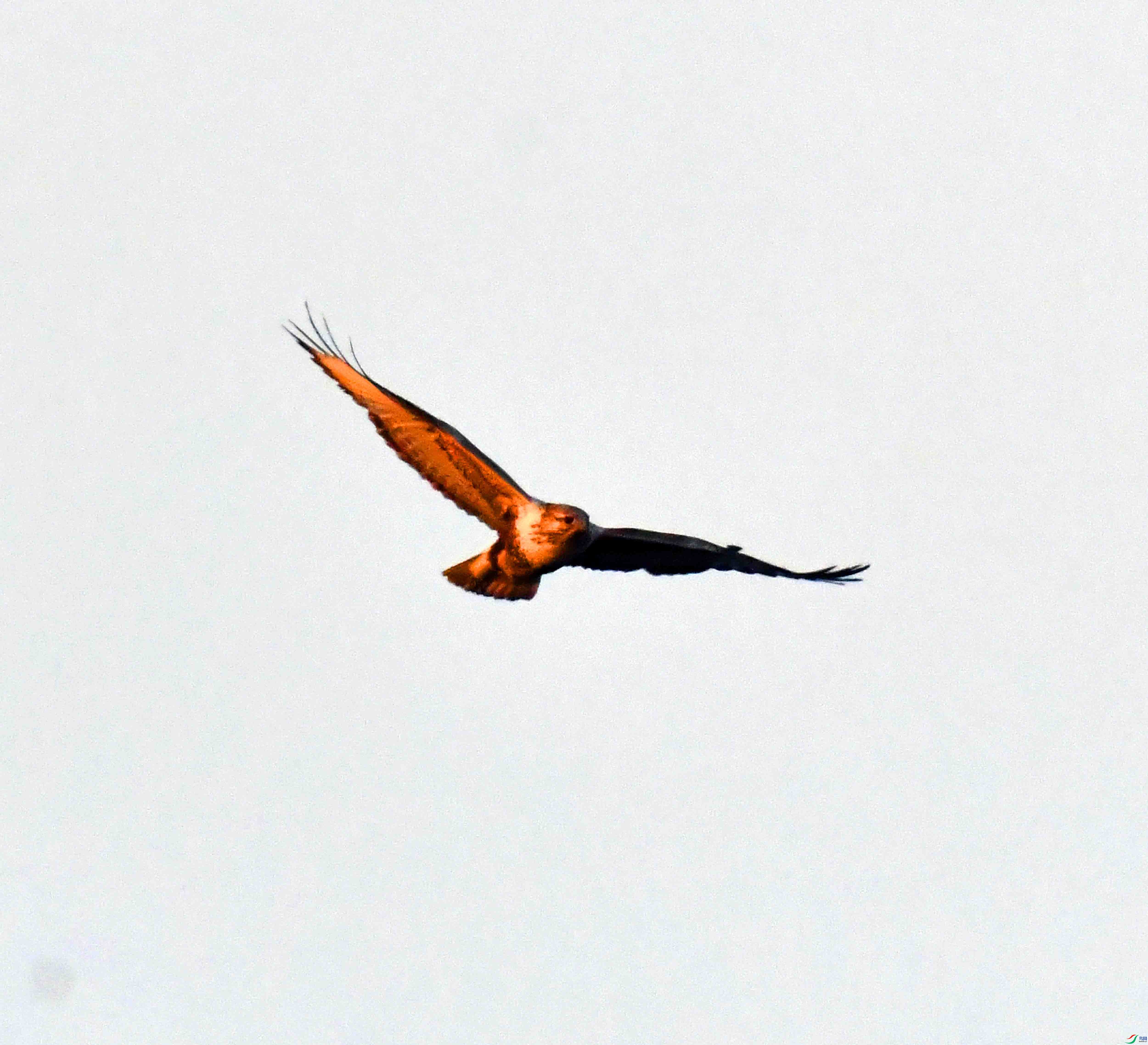 DSC_2701.JPG