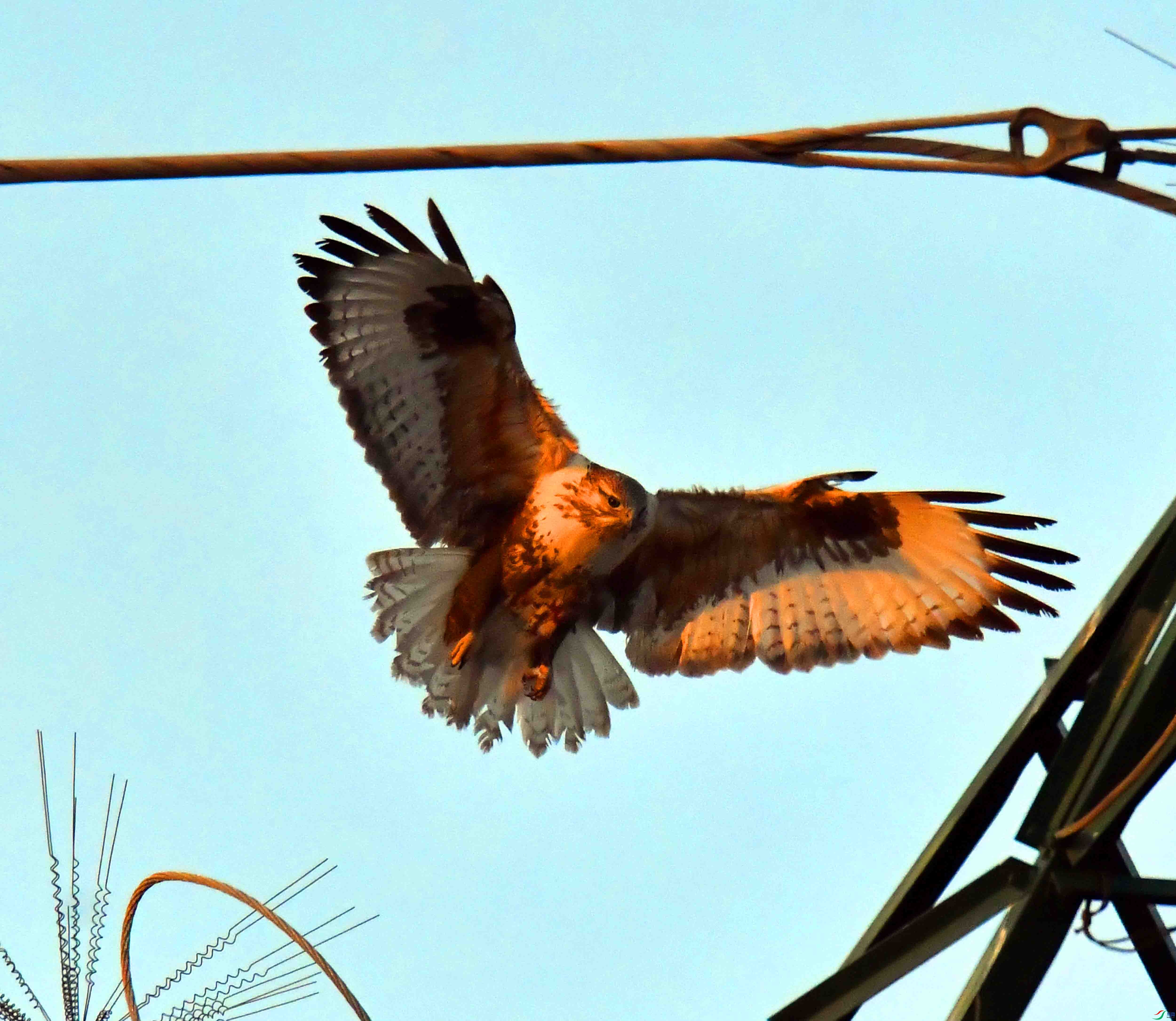 DSC_2715.JPG