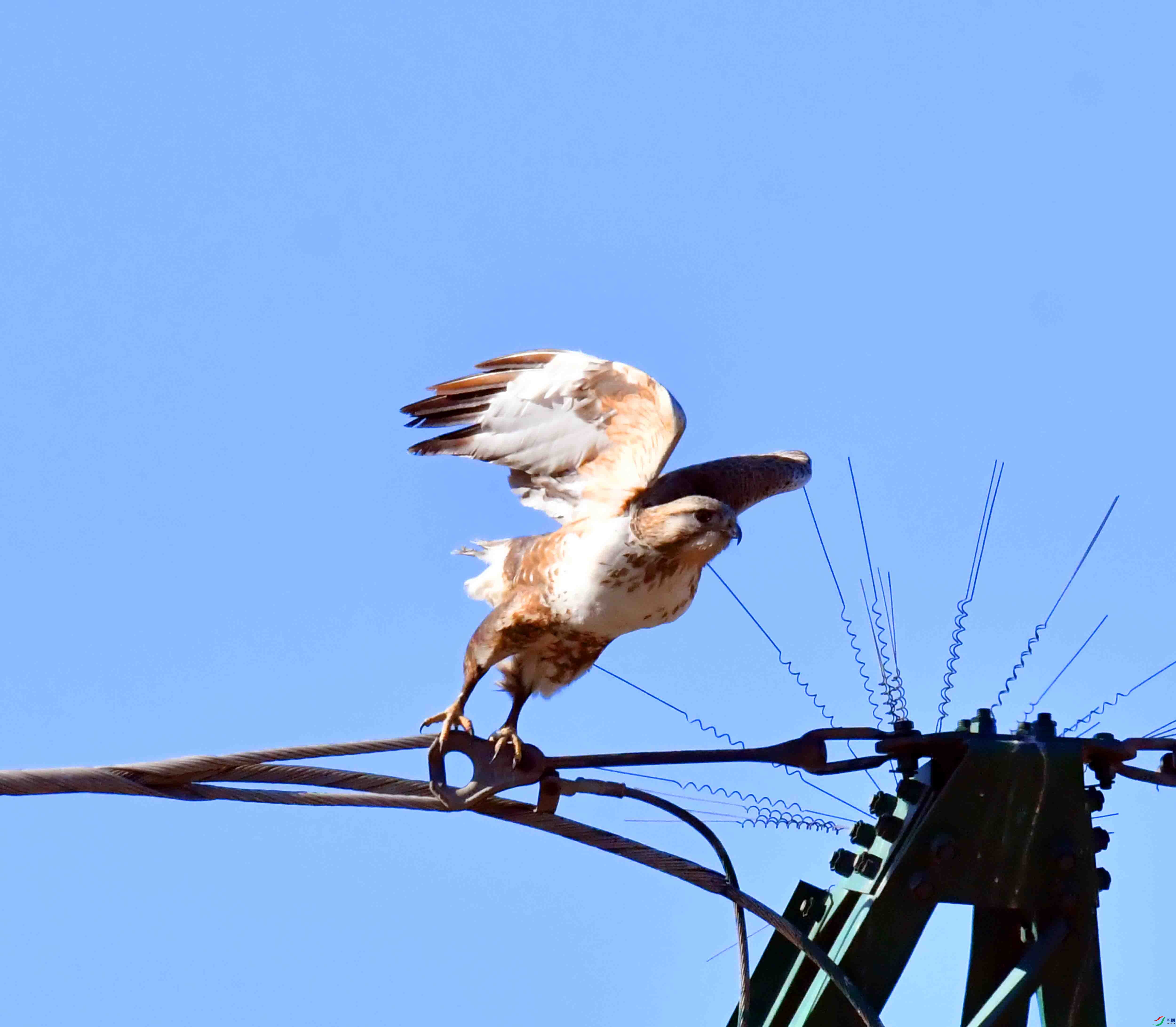 DSC_2909.JPG