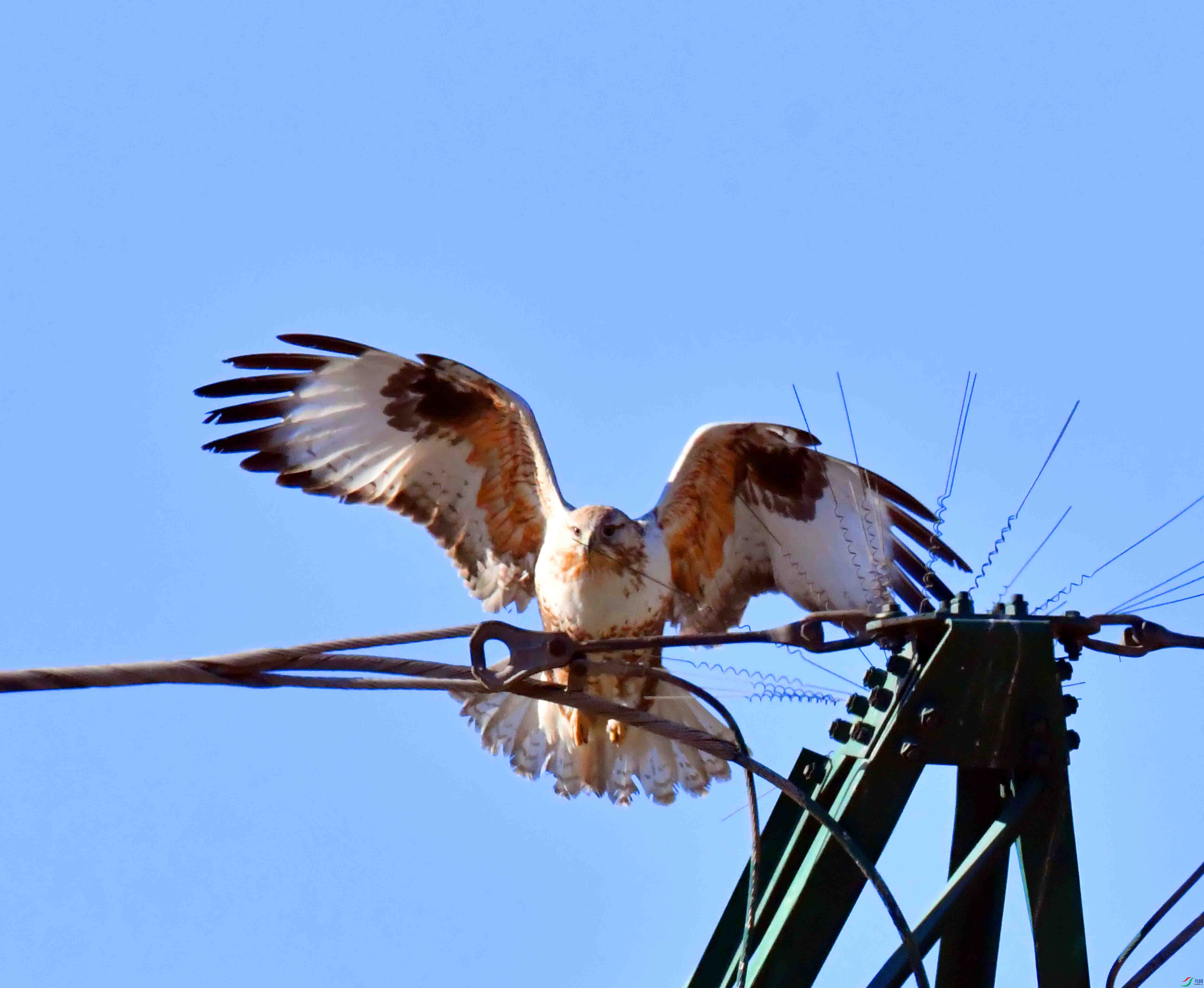 DSC_2919.JPG