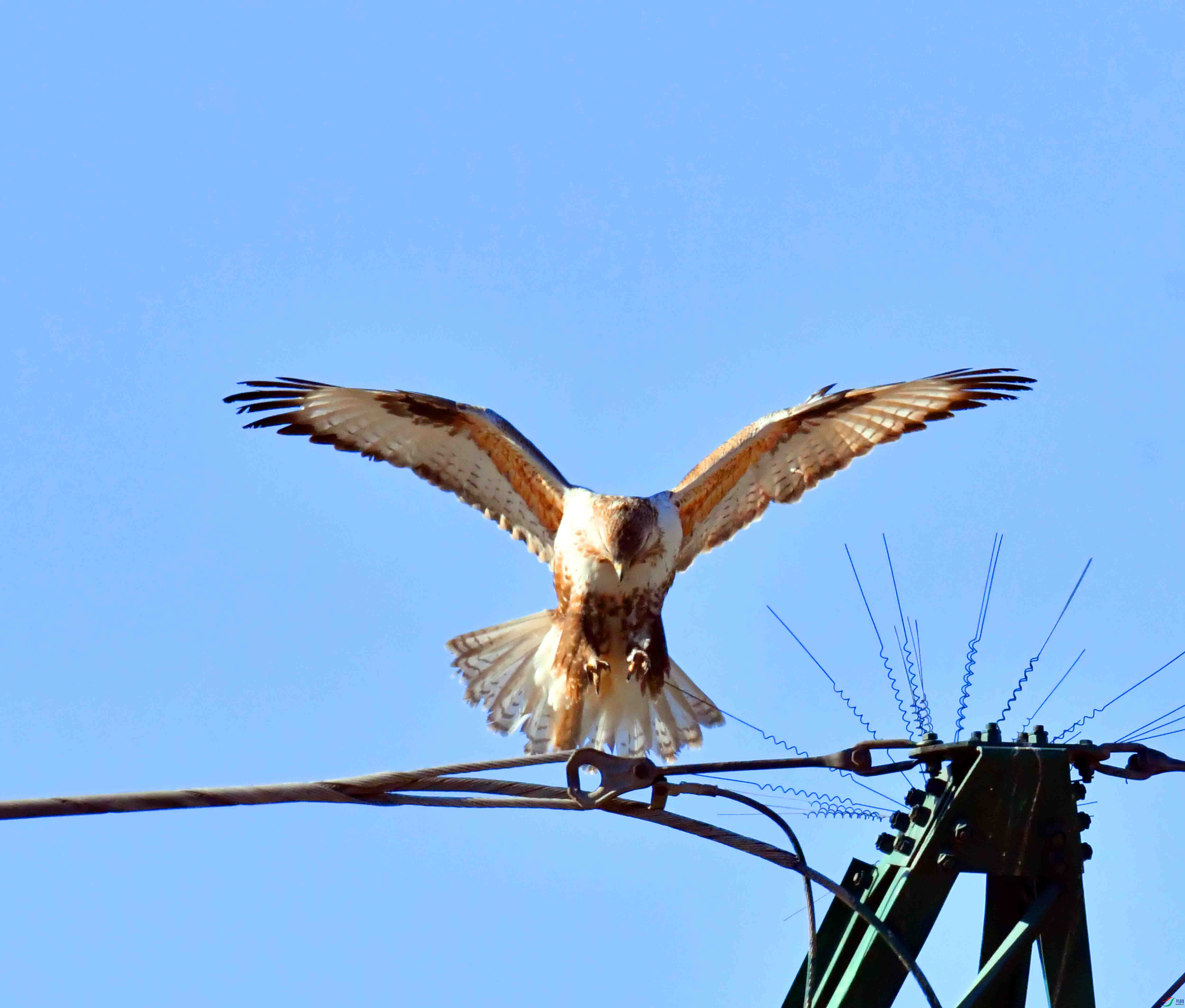DSC_2923.JPG