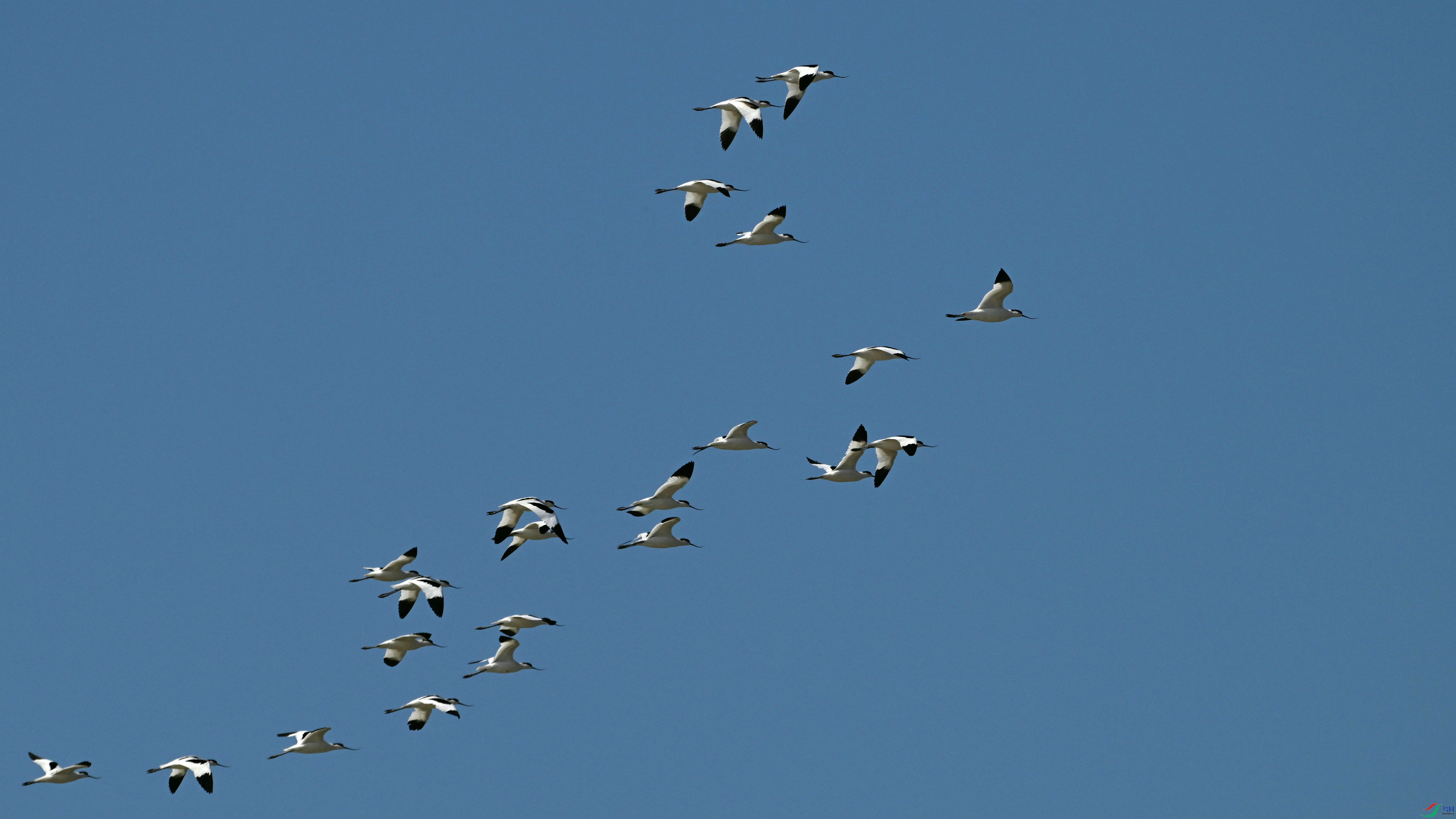 DSC_8007.JPG