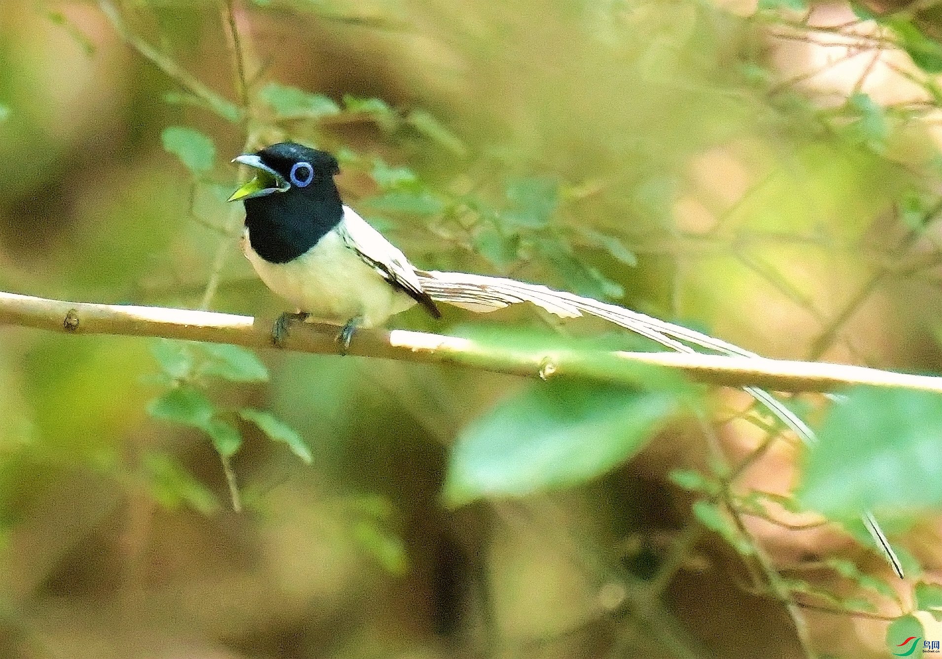 DSC_7292.JPG