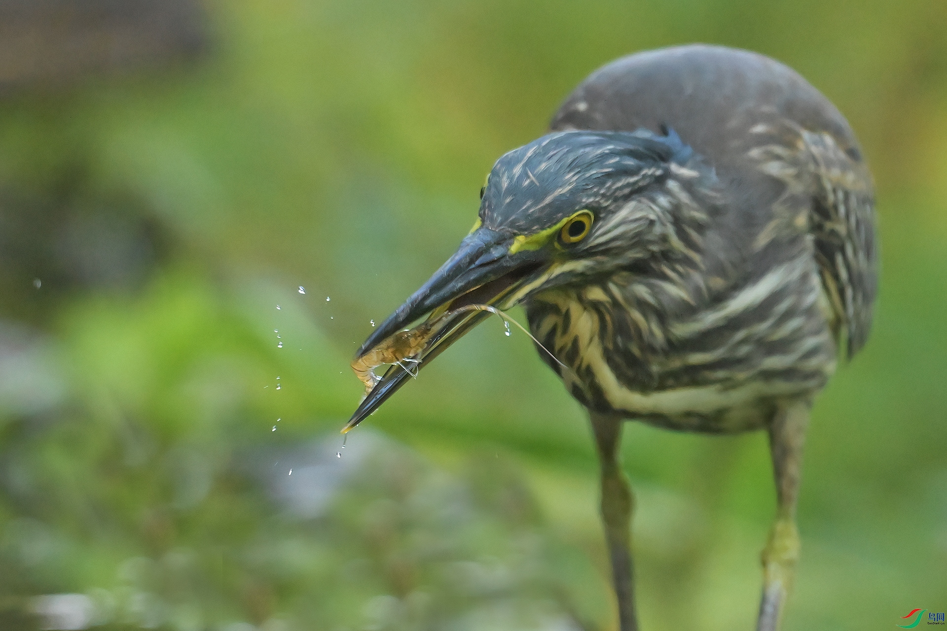 DSC_8089.jpg