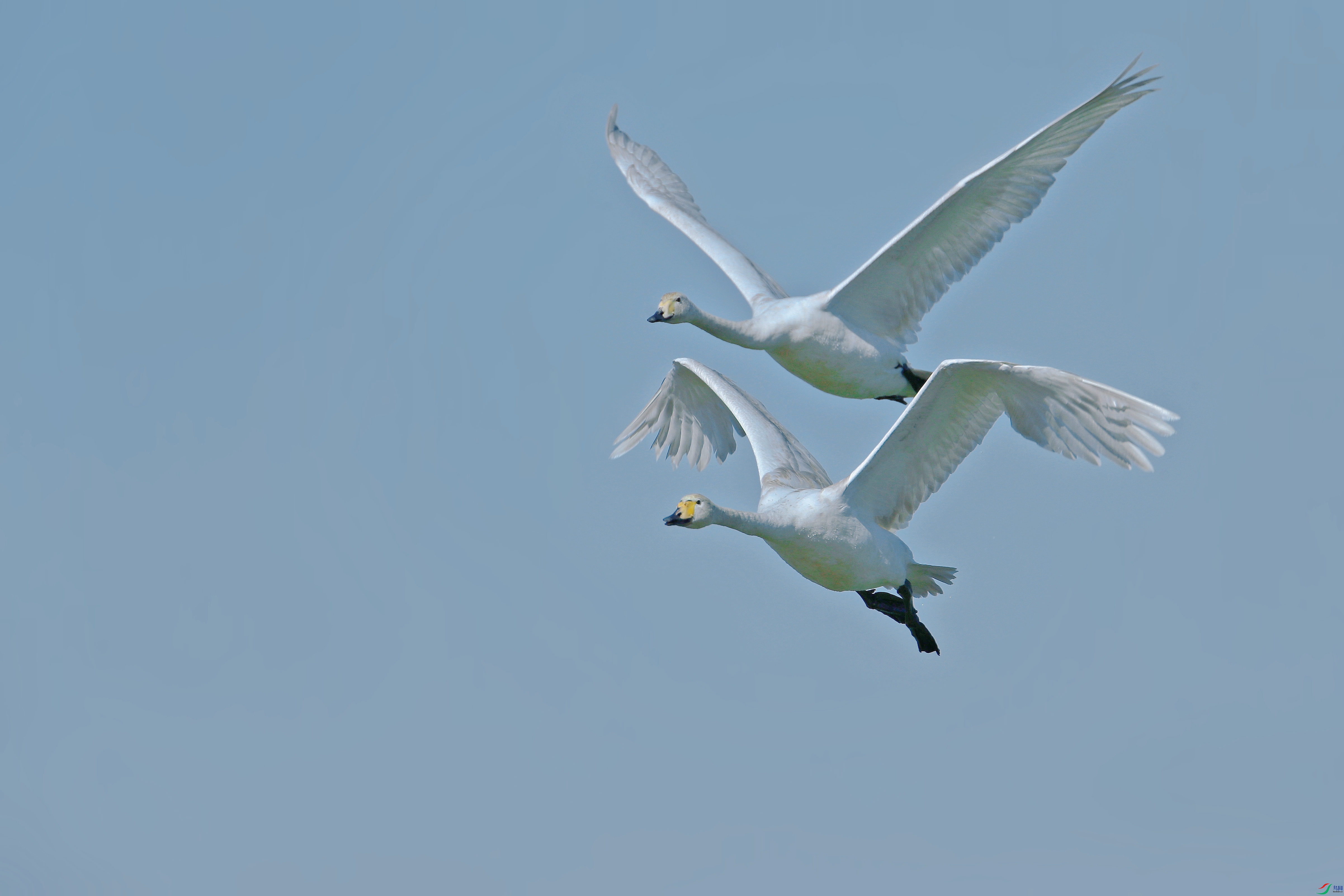 AS8I9957_����.jpg