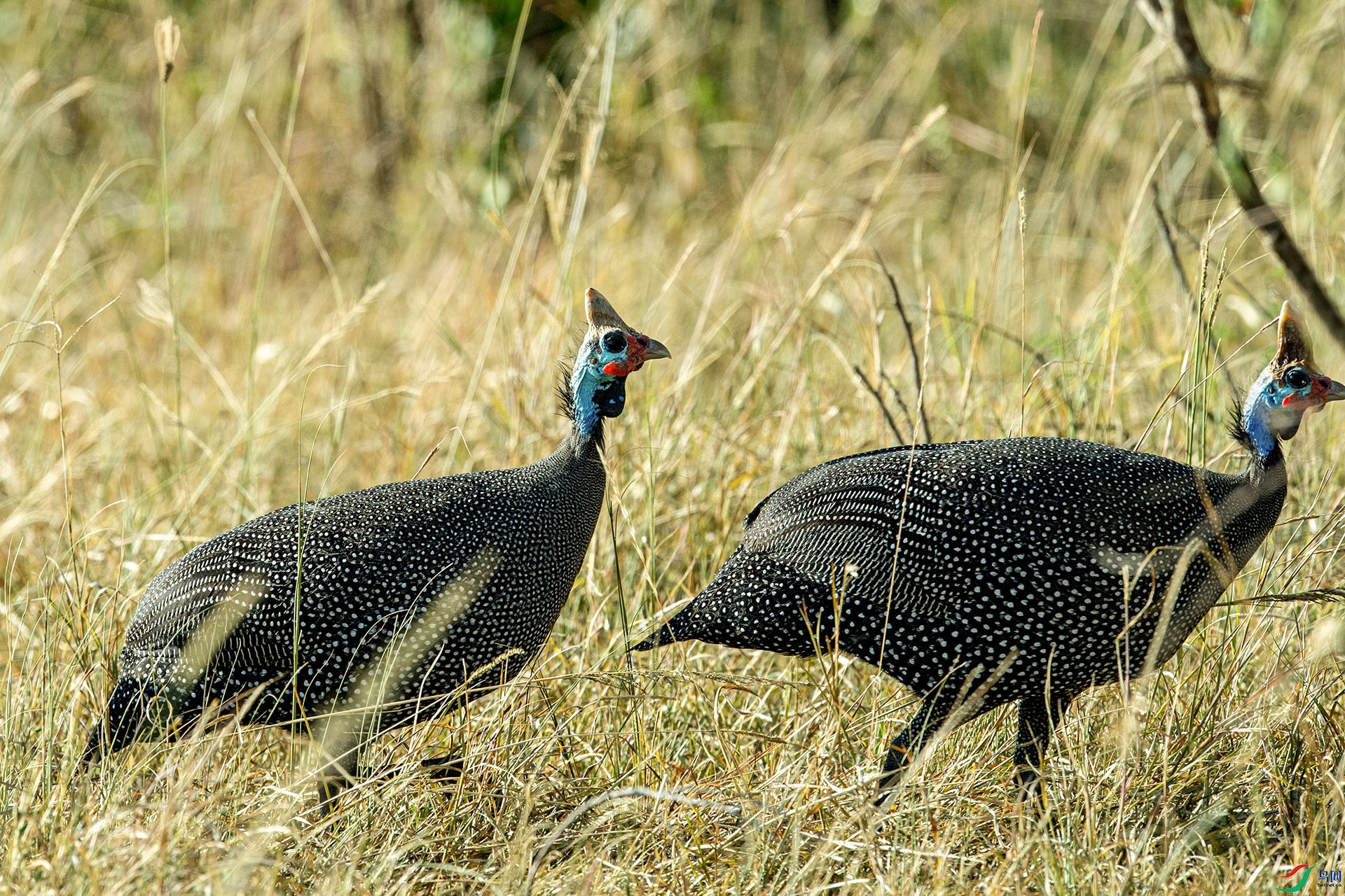 DSC_7577 ���� 2.jpg