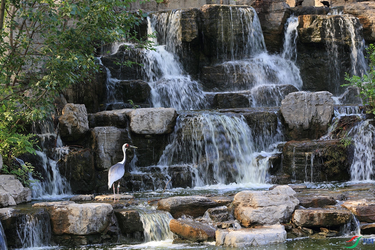 �ҵ�ƻ���ֻ� 479.JPG