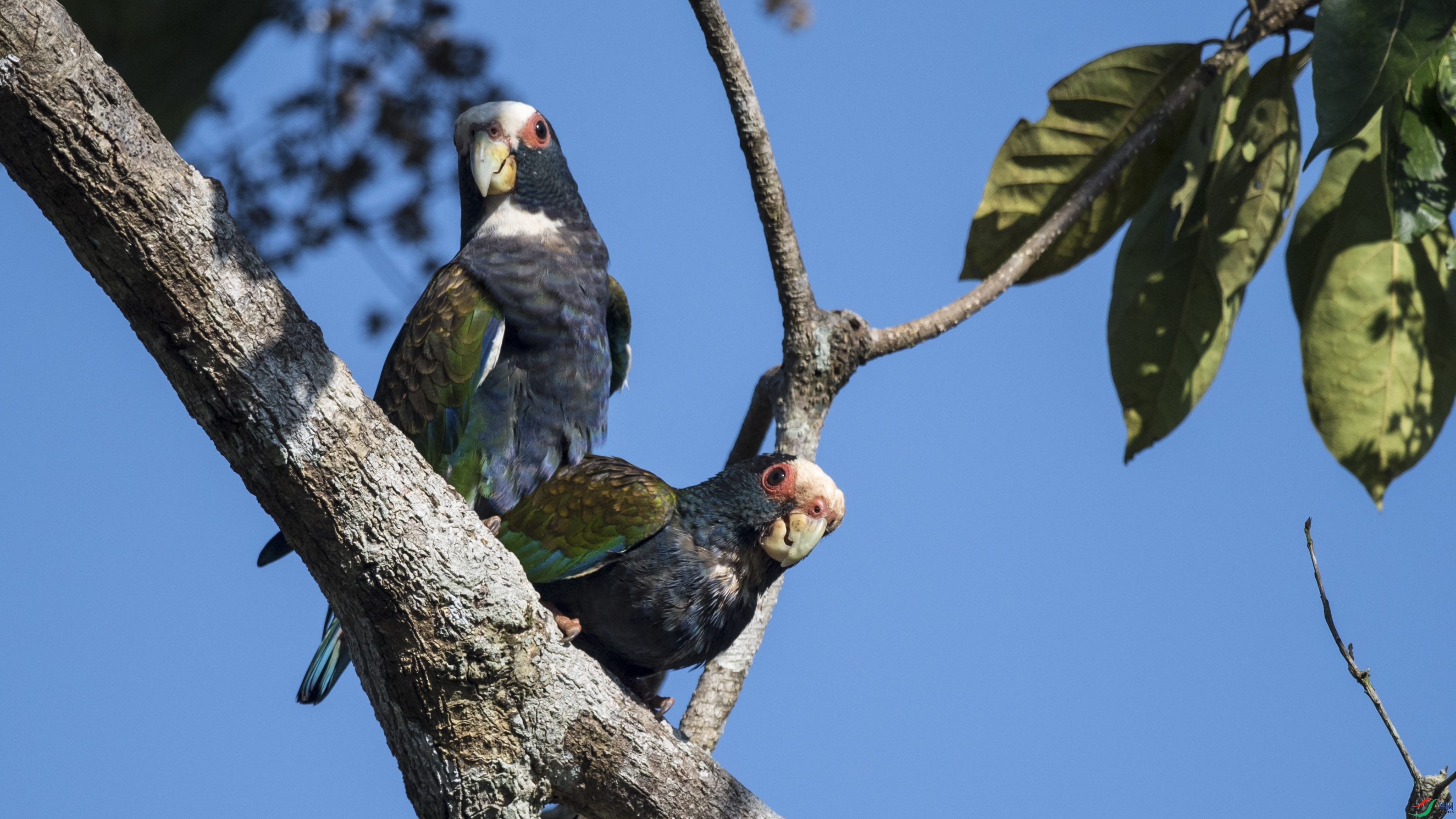 DSC_5876_1.JPG
