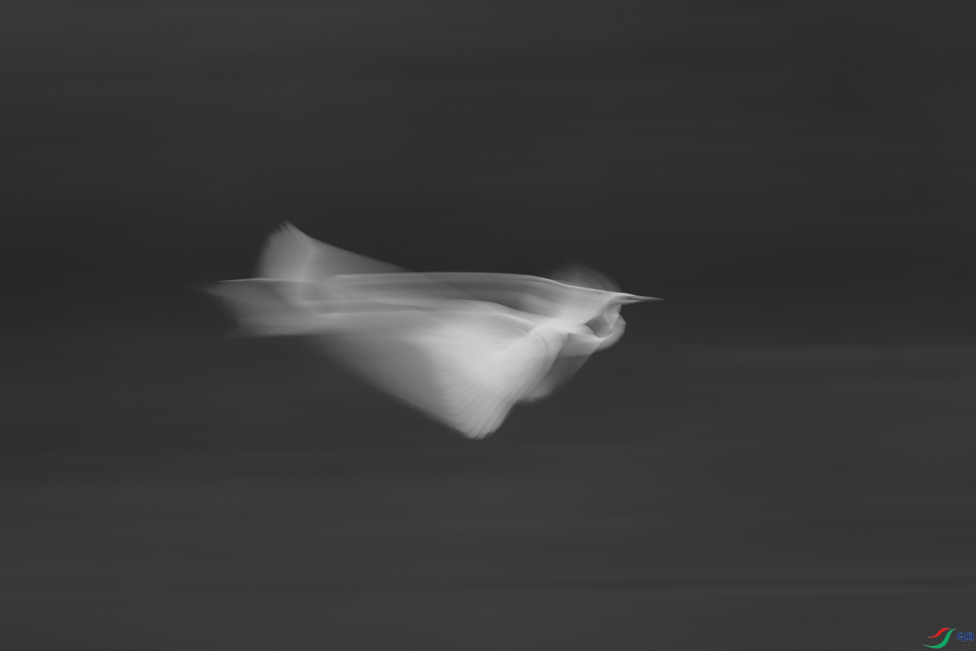 HB6974.JPG