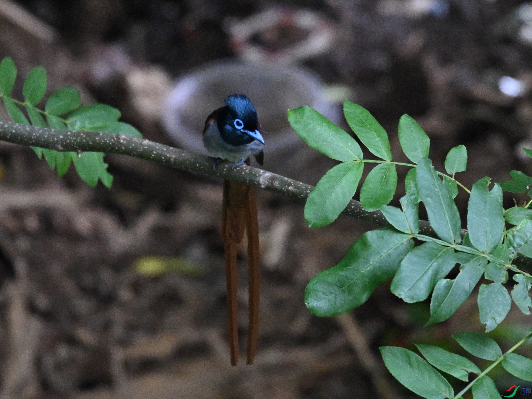 DSC_8276.JPG