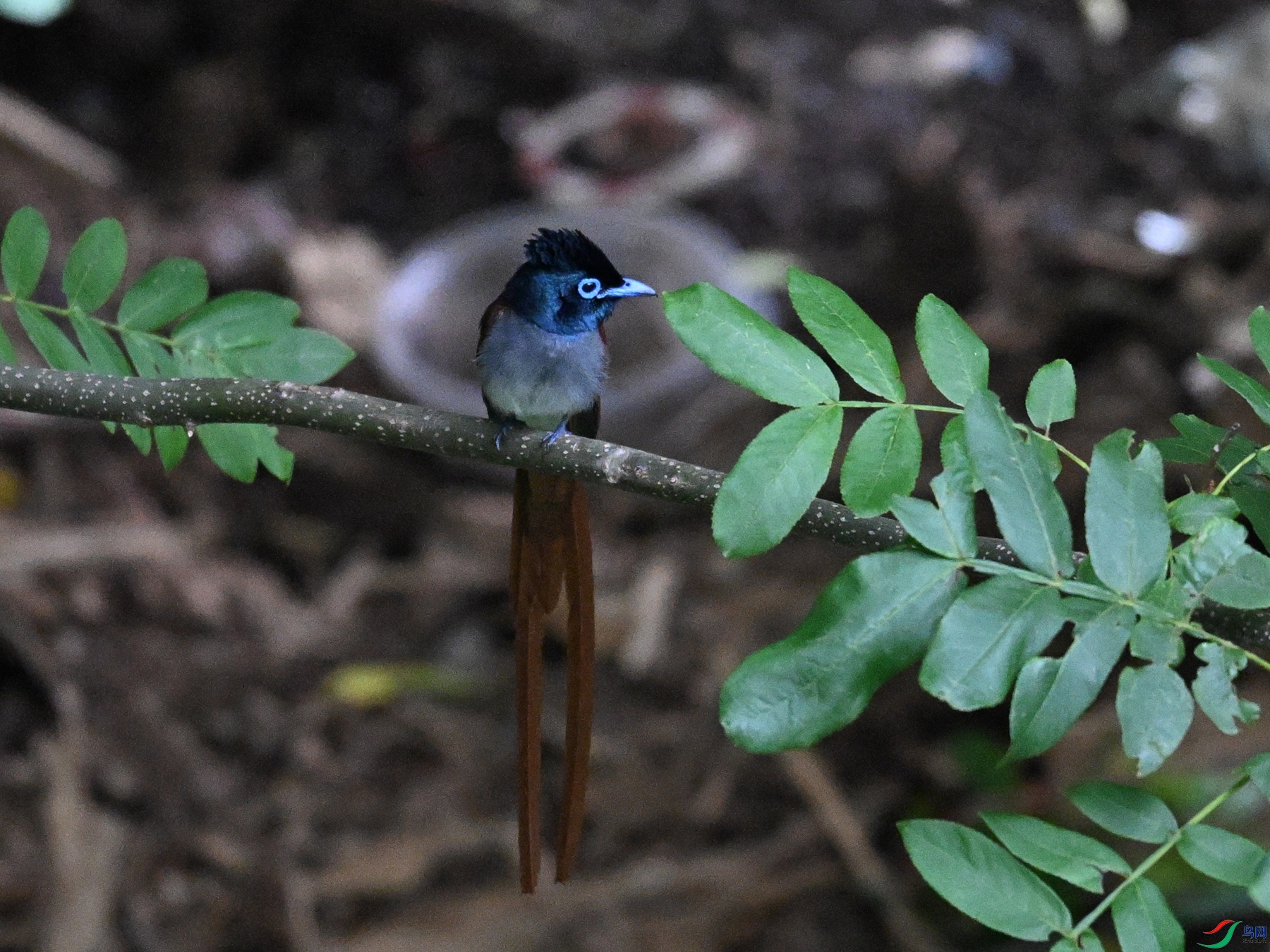 DSC_8265.JPG