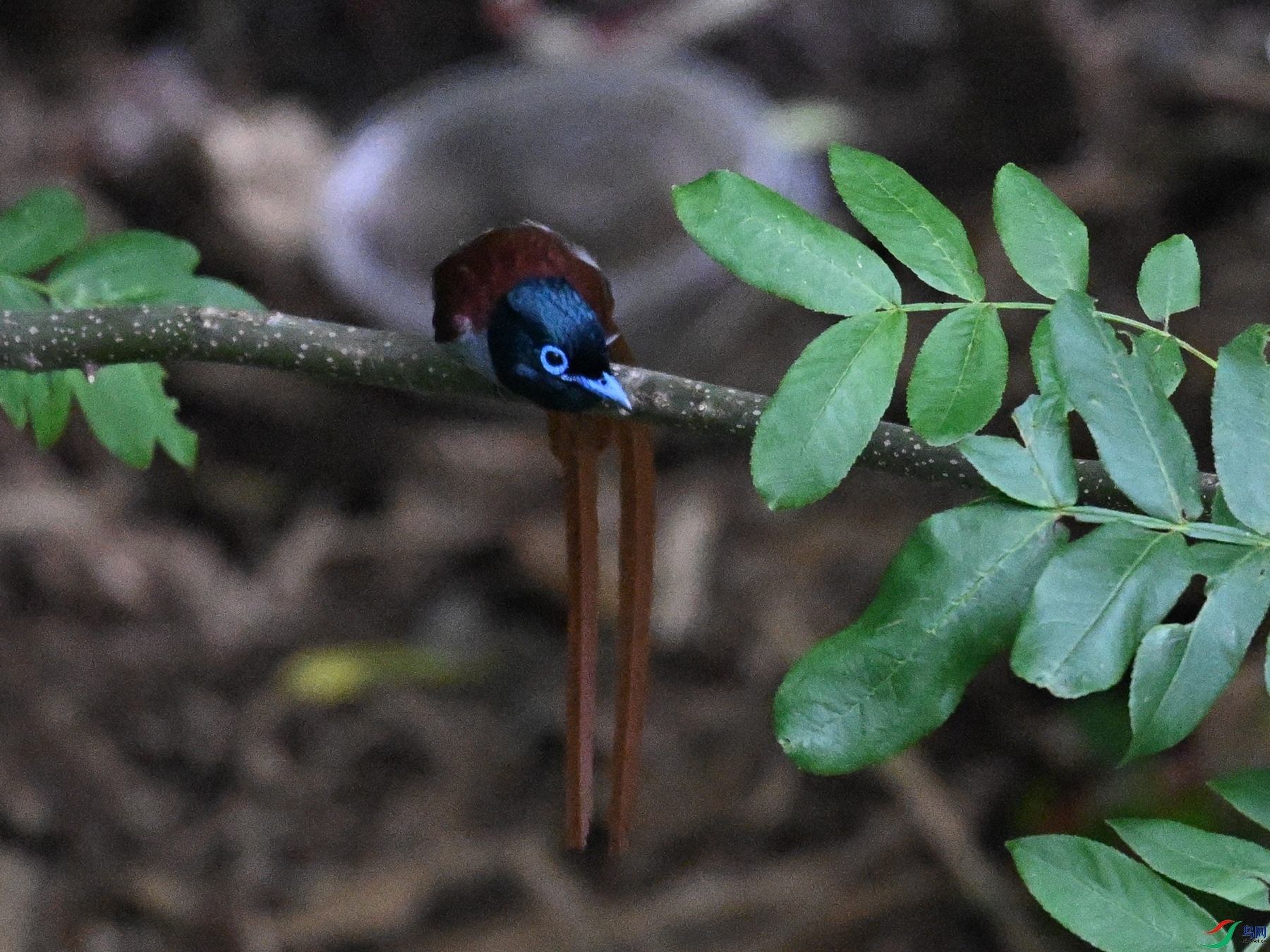 DSC_8280.JPG