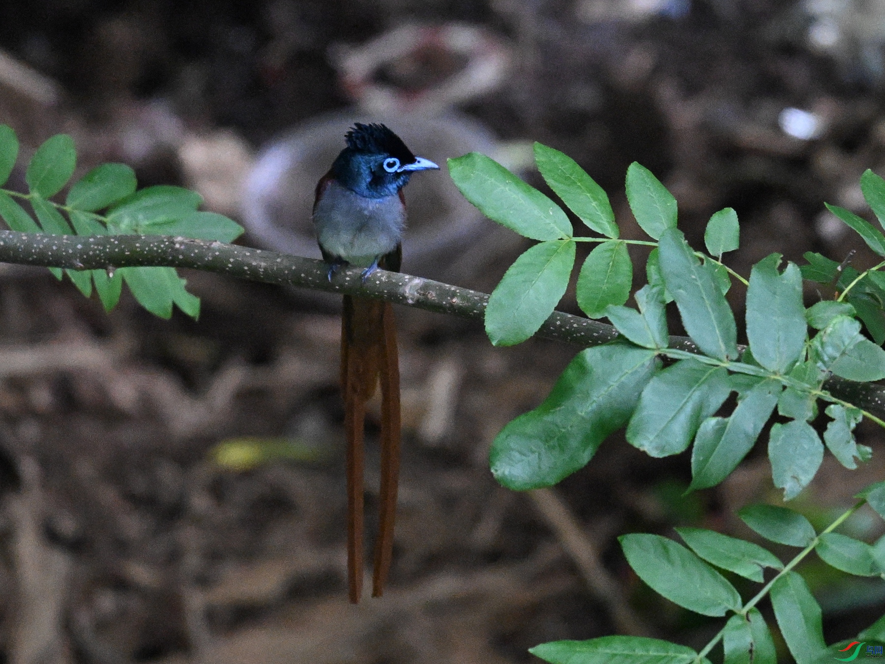 DSC_8254.JPG