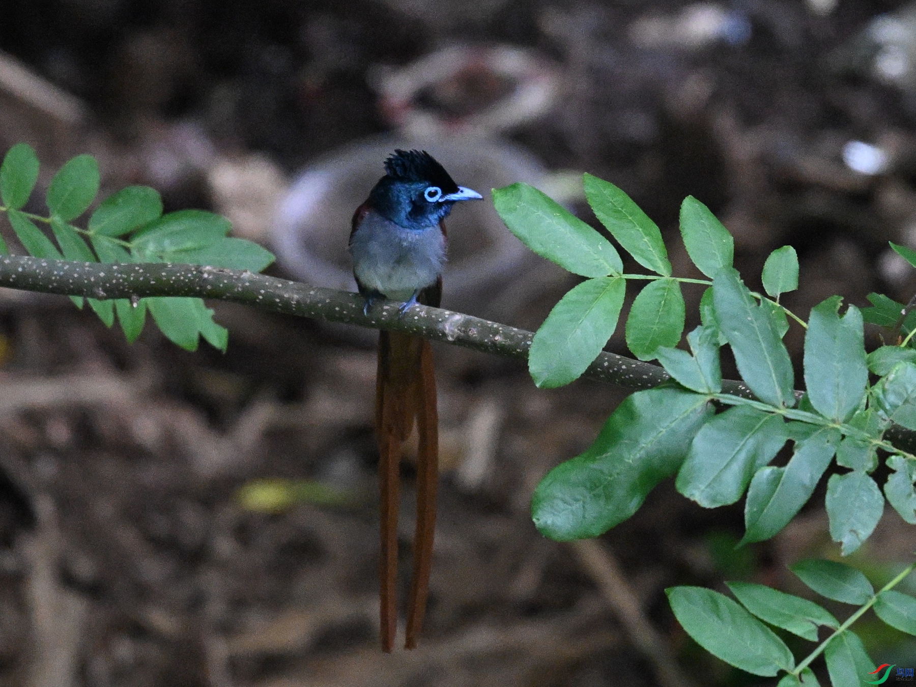 DSC_8255.JPG