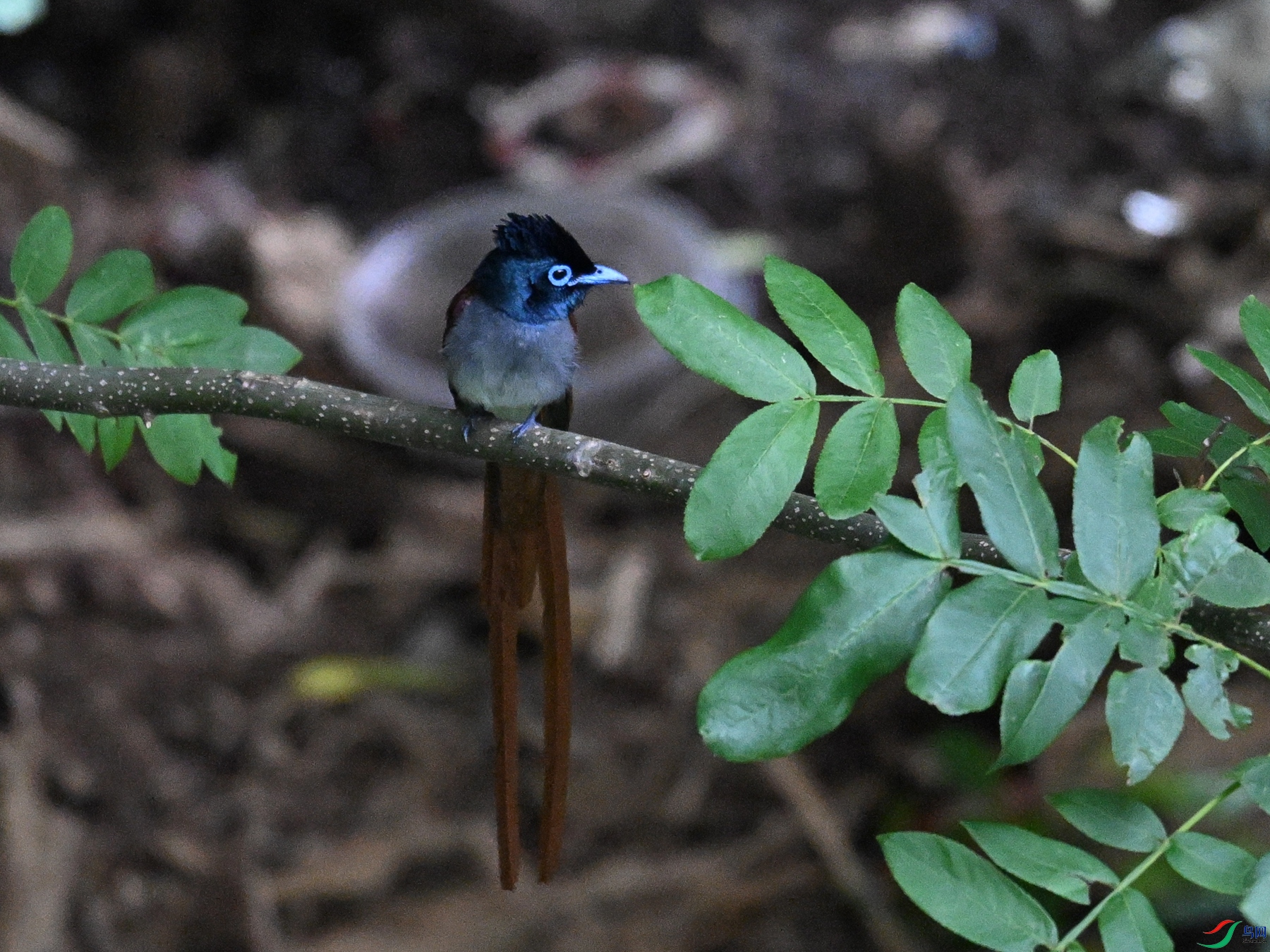 DSC_8270.JPG