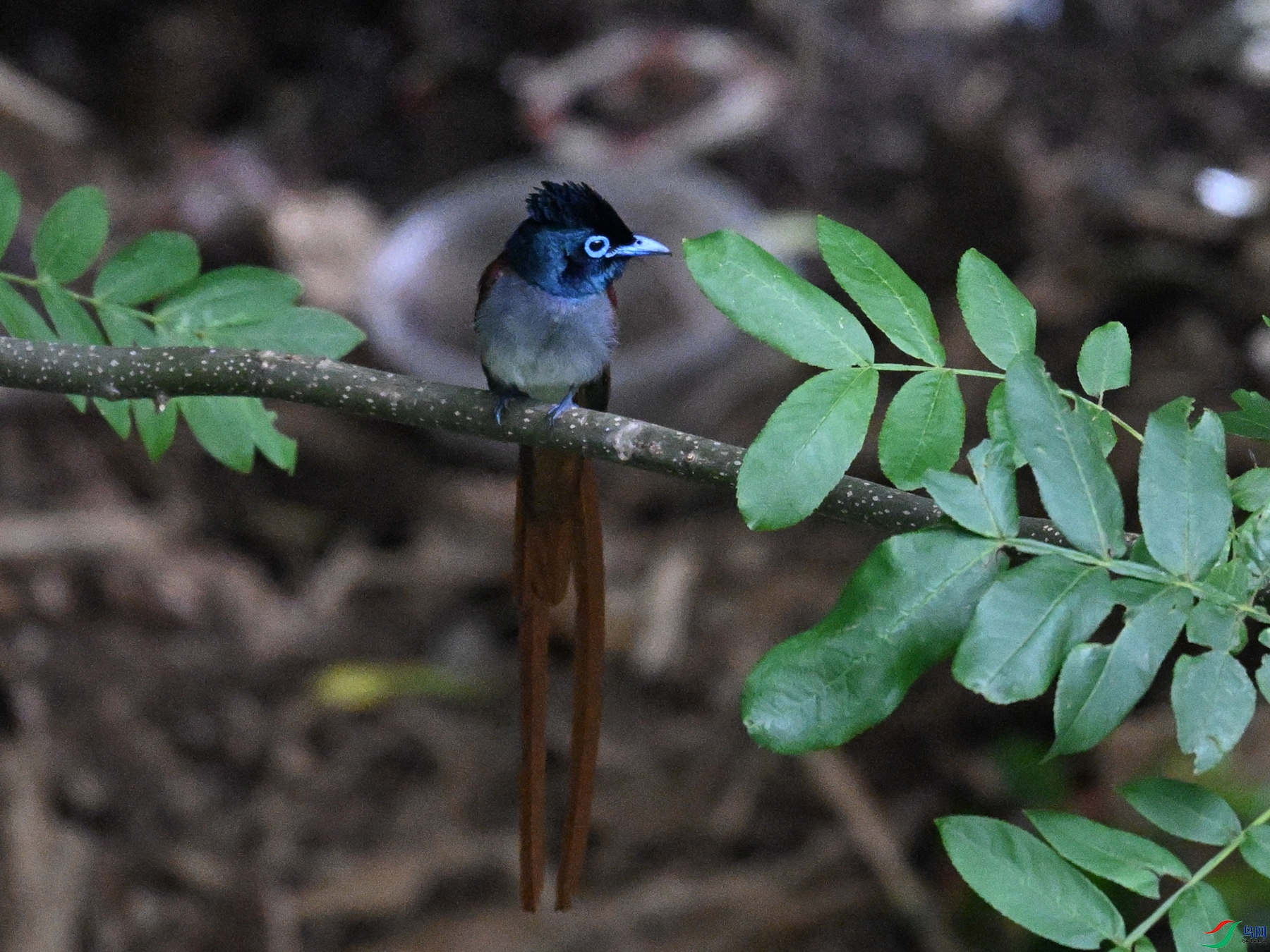 DSC_8256.JPG