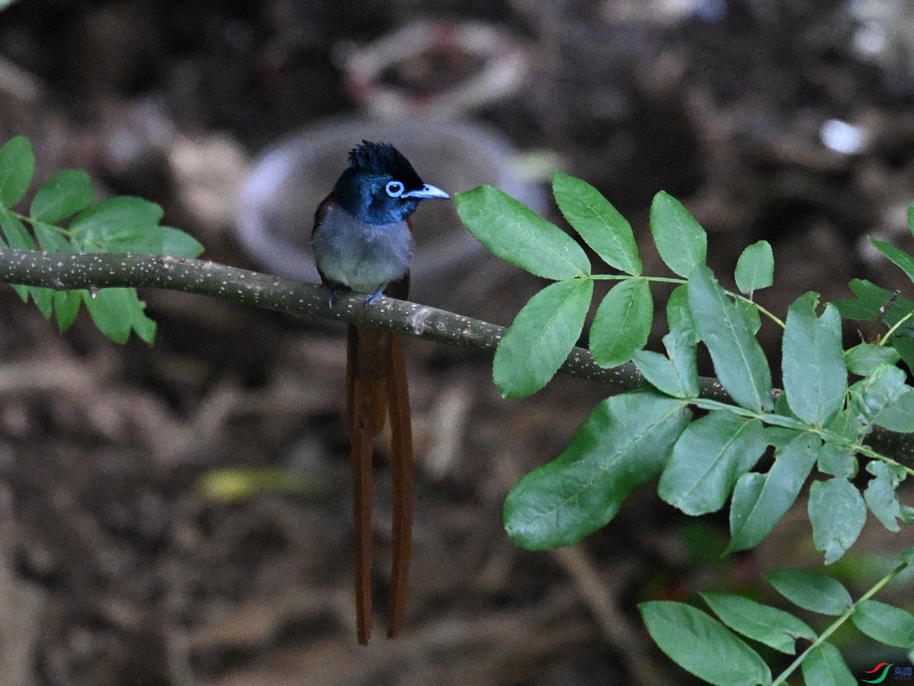 DSC_8272.JPG