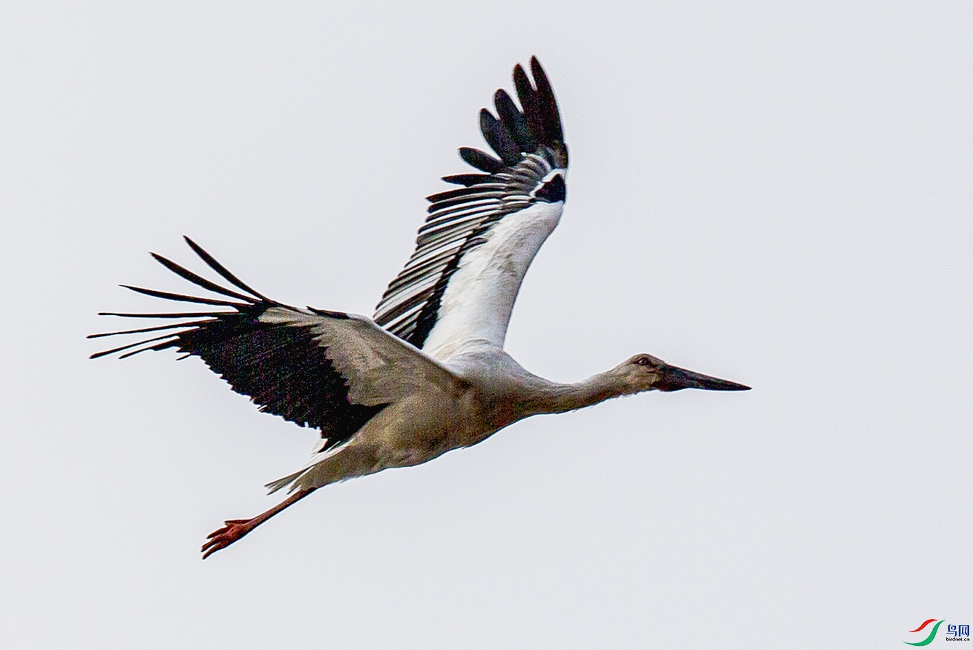 _MG_0928 ����.jpg