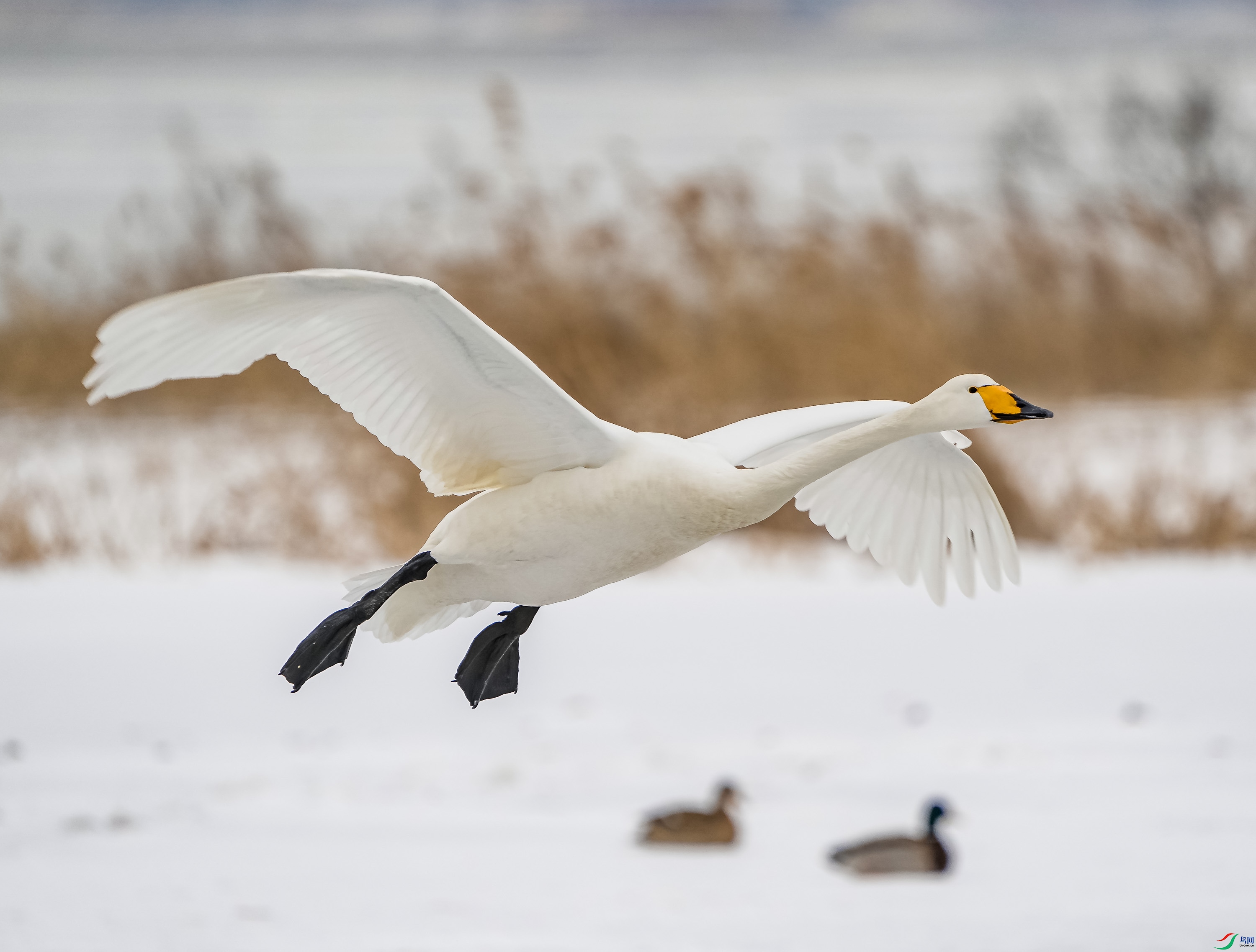 �����-9 (2).jpg