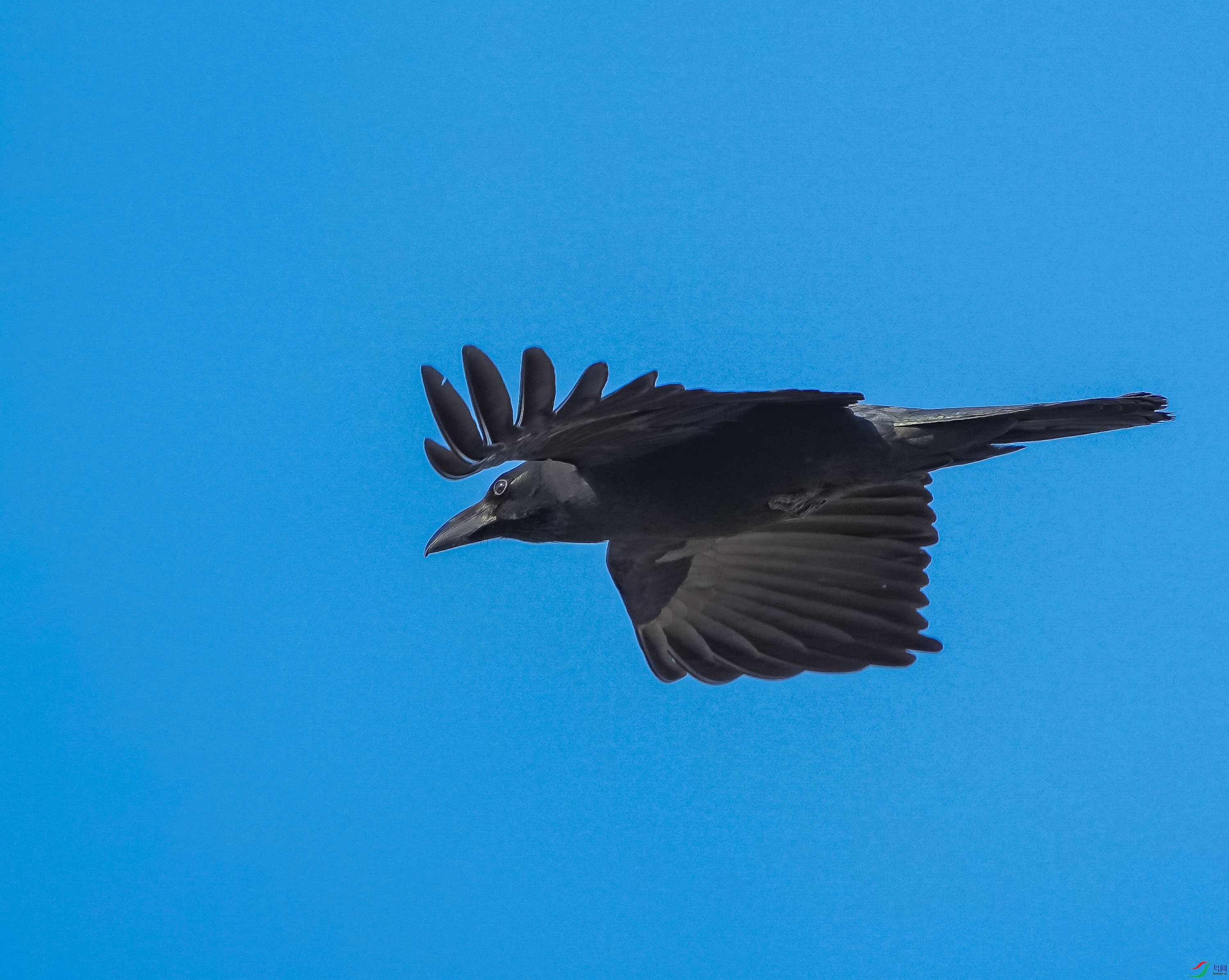 ������ѻ-5 (2).jpg