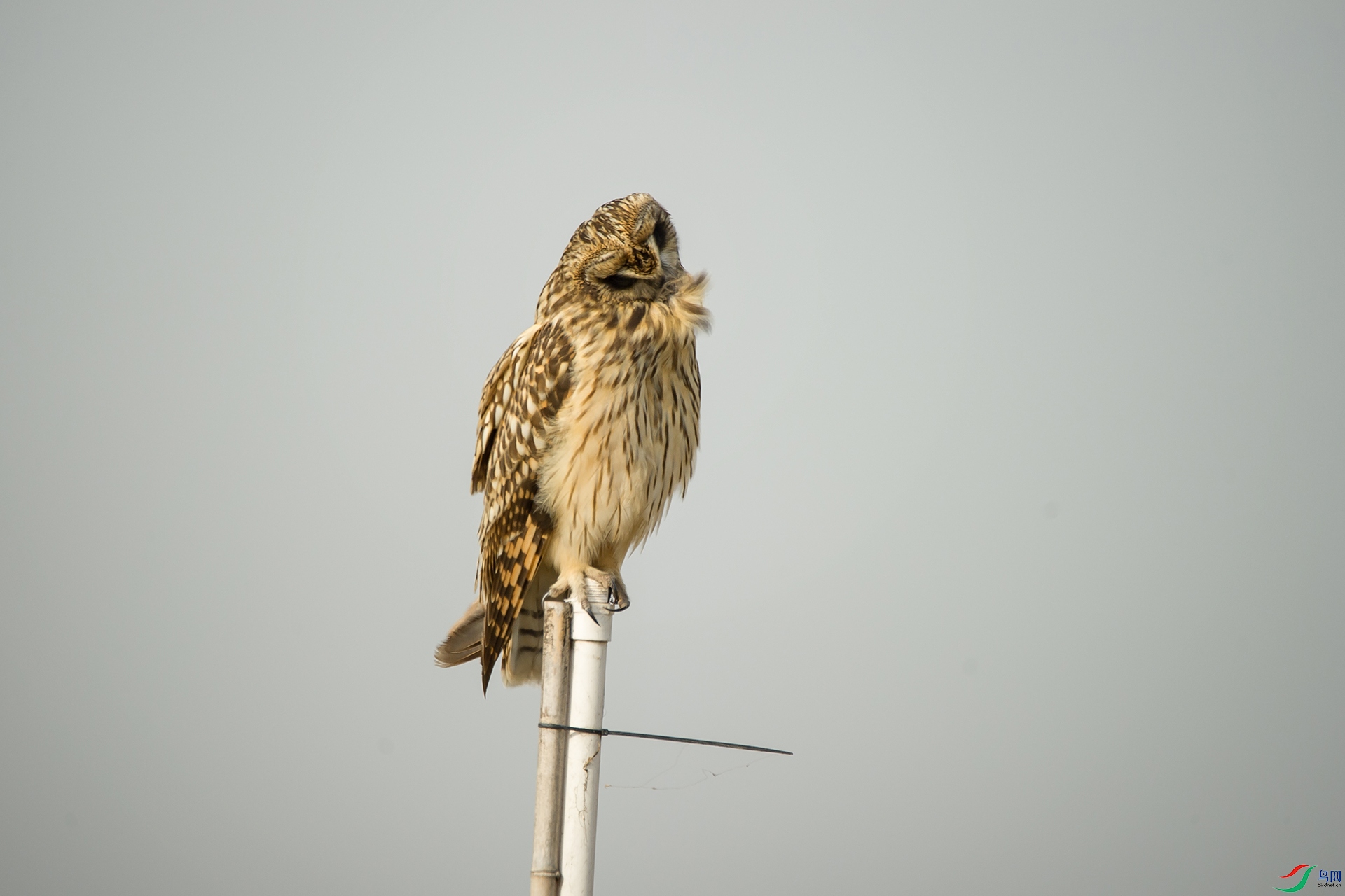 DSC_0409-20201207�ü�.jpg