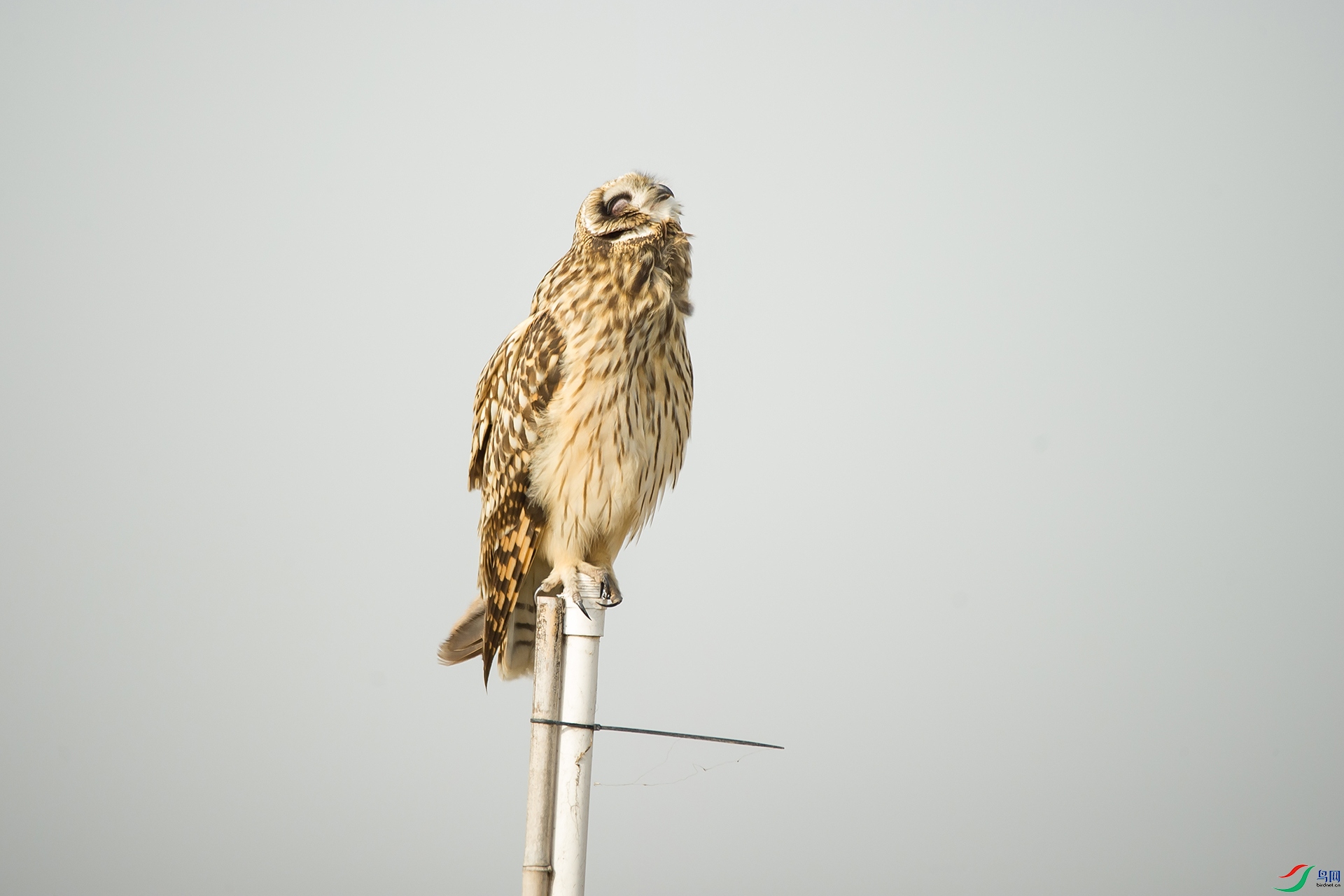 DSC_0416-20201207�ü�.jpg