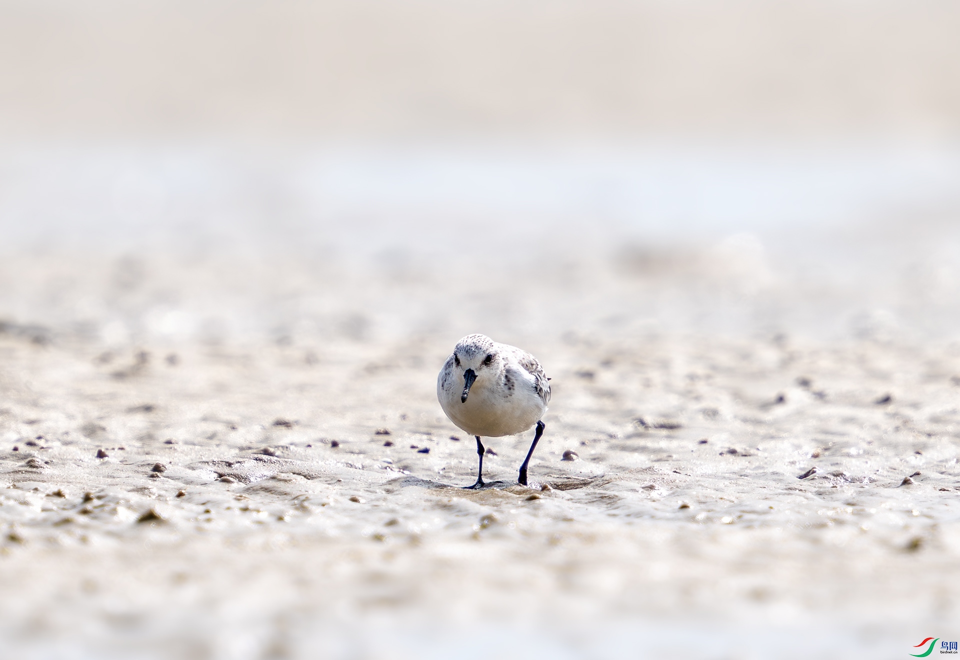 DSC_5388-1.jpg