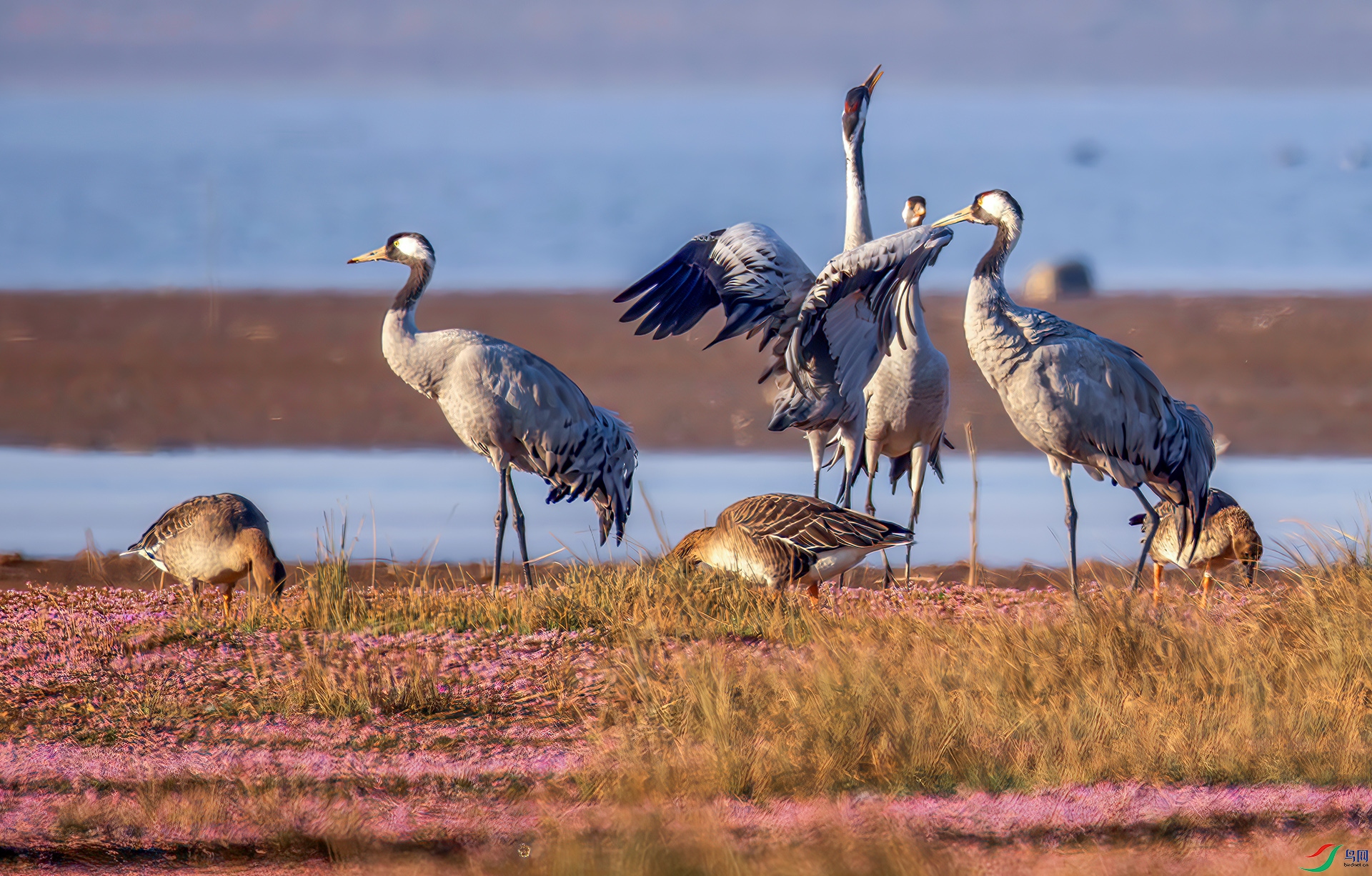 407A9344------22  .jpg