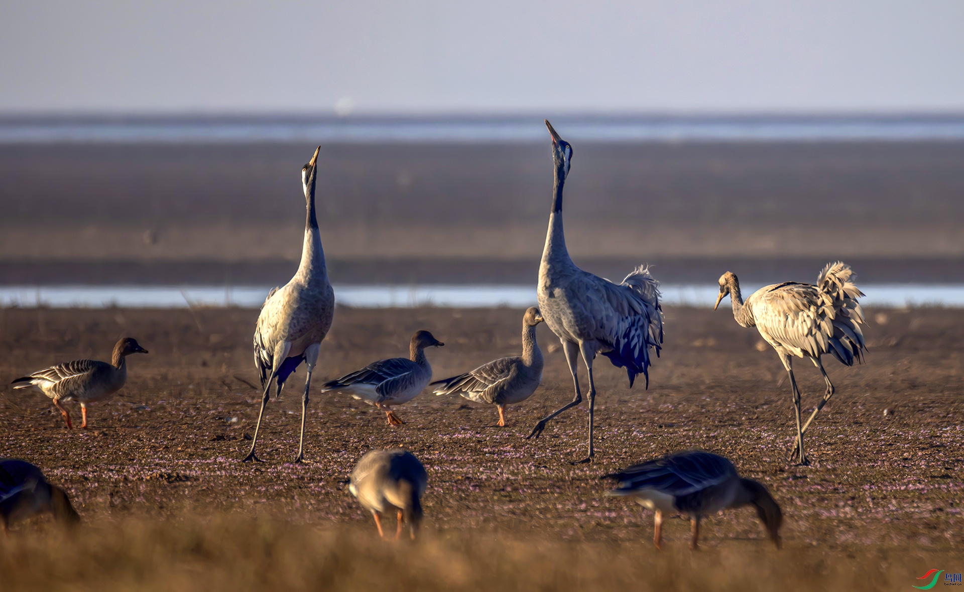 407A8047------222  .jpg