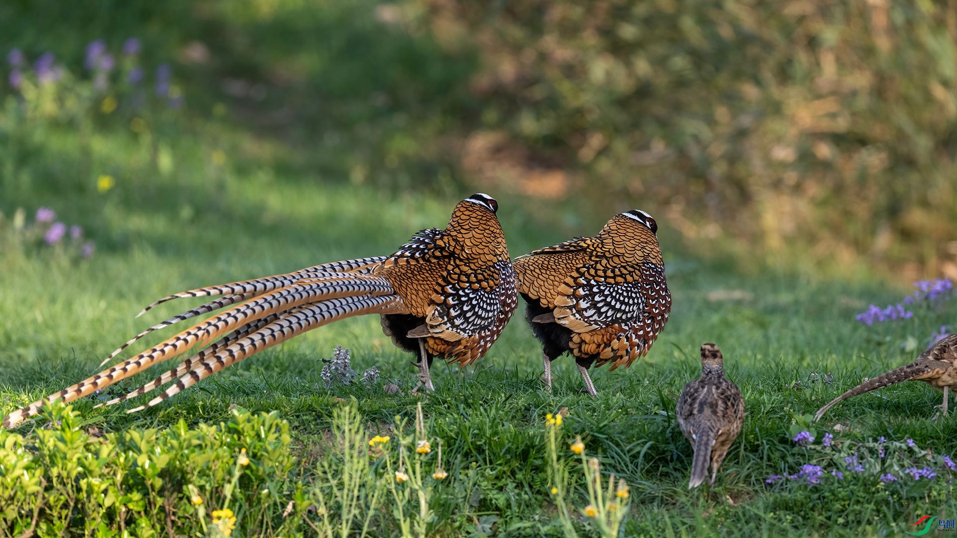 _DSC5437 ����.jpg