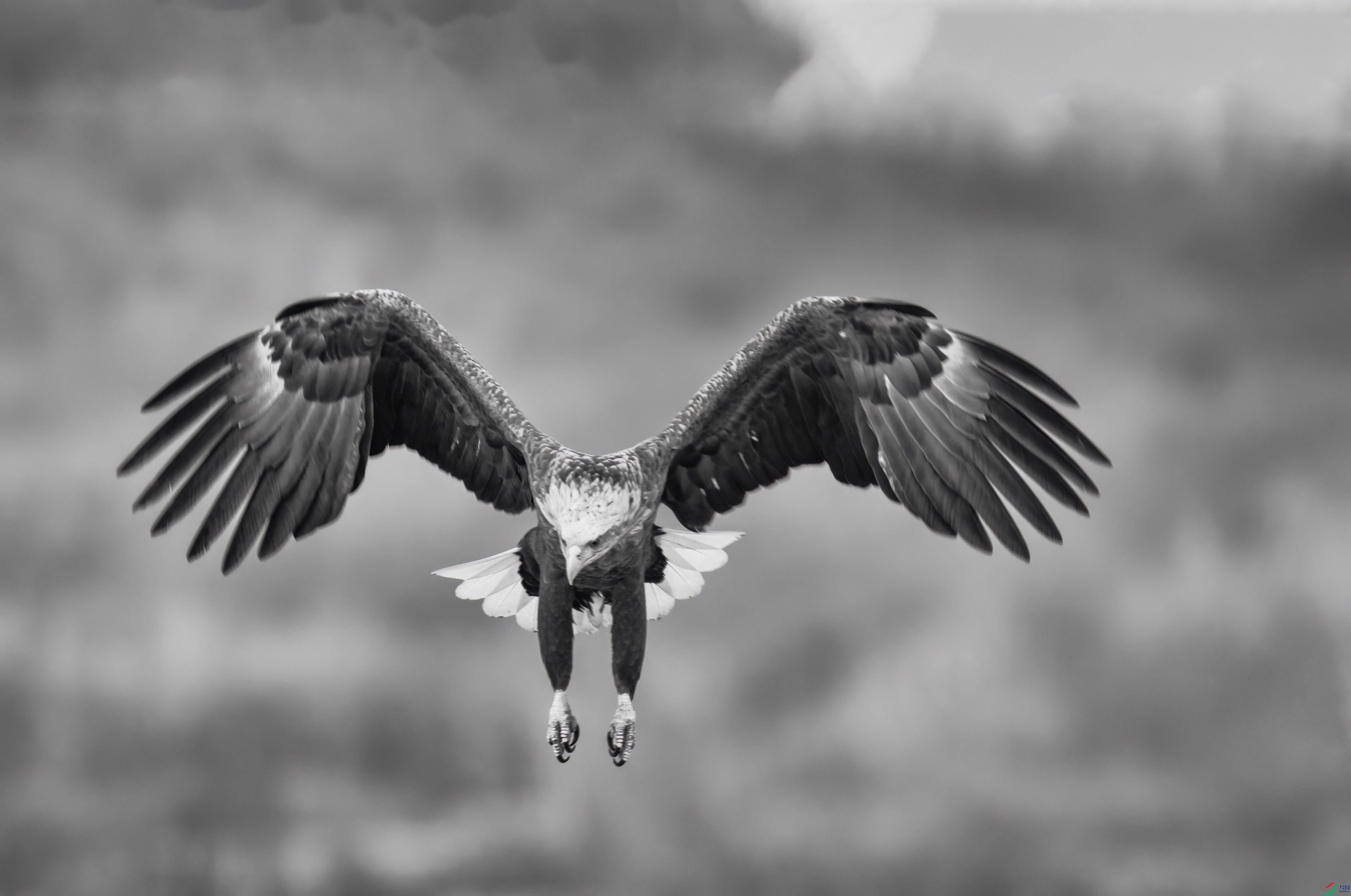 DSC07577 (3) ����.jpg