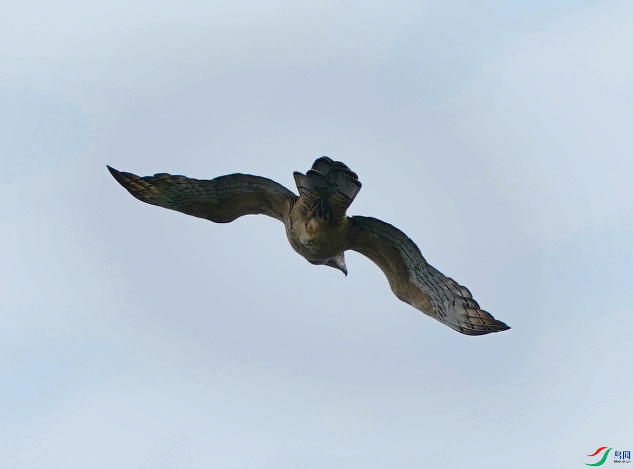 DSC05920-2022-10-4.JPG