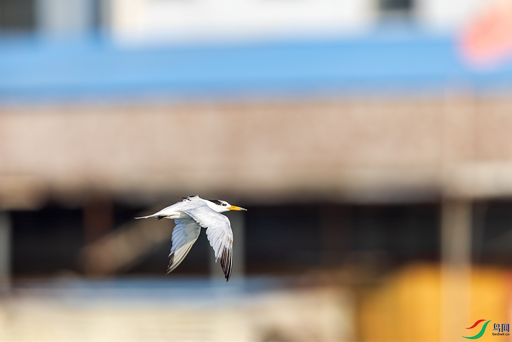 sdqdR5250821 (137).jpg