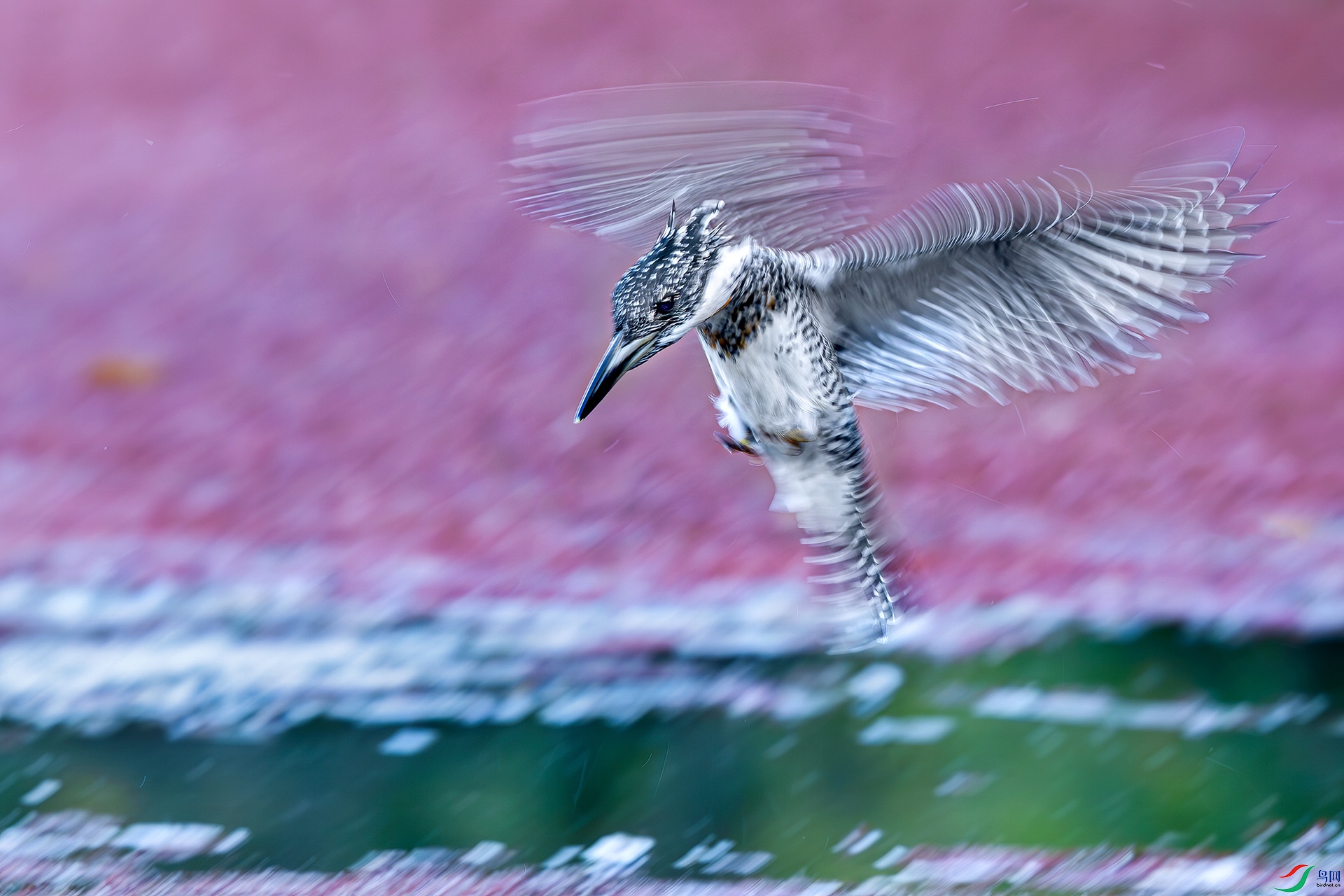 0D1A9833-8.jpg