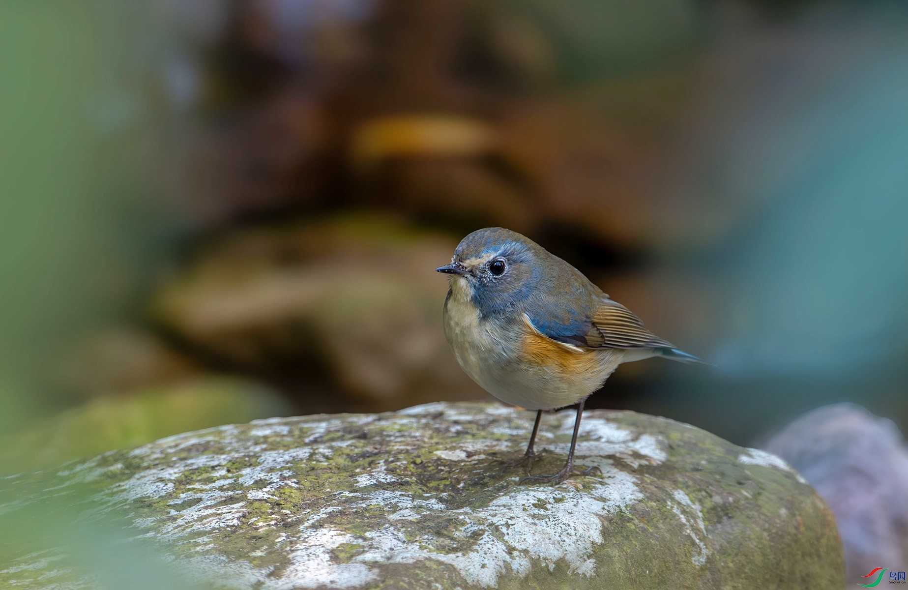 DSC_4450_����.jpg