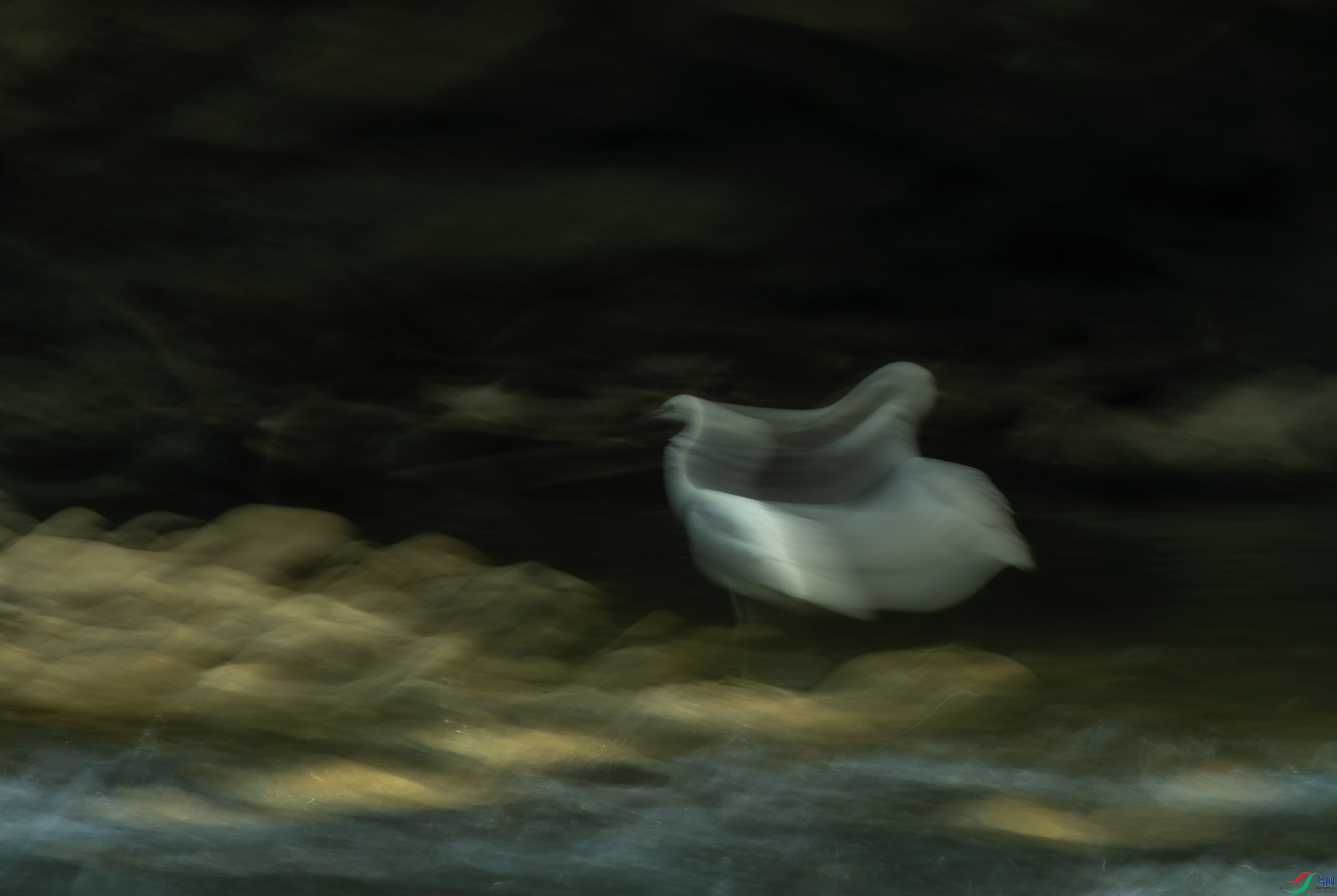 DSC_5747.JPG